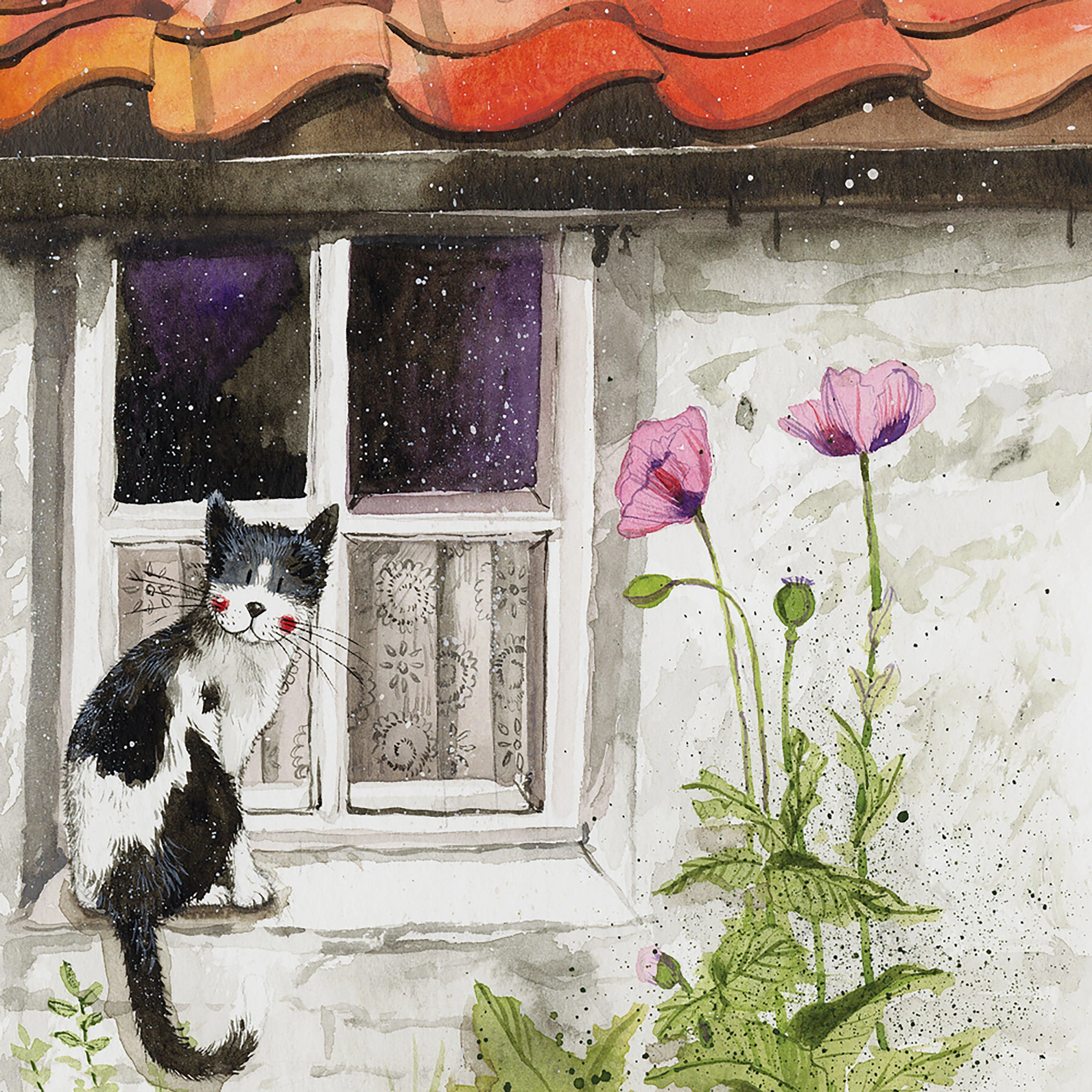 Blank Card Window Cat