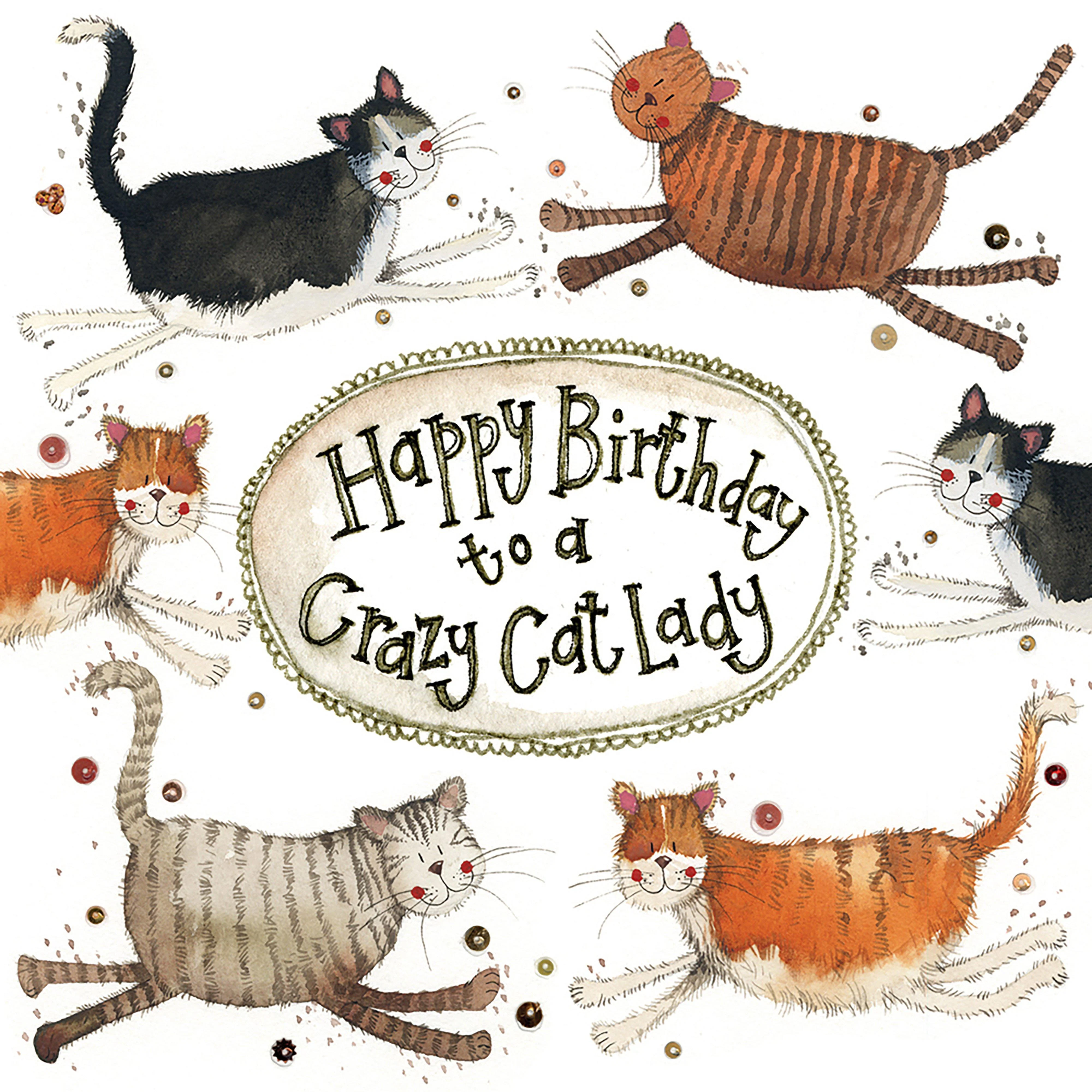 Little Sparkle Card Crazy Cat Lady - Image 2