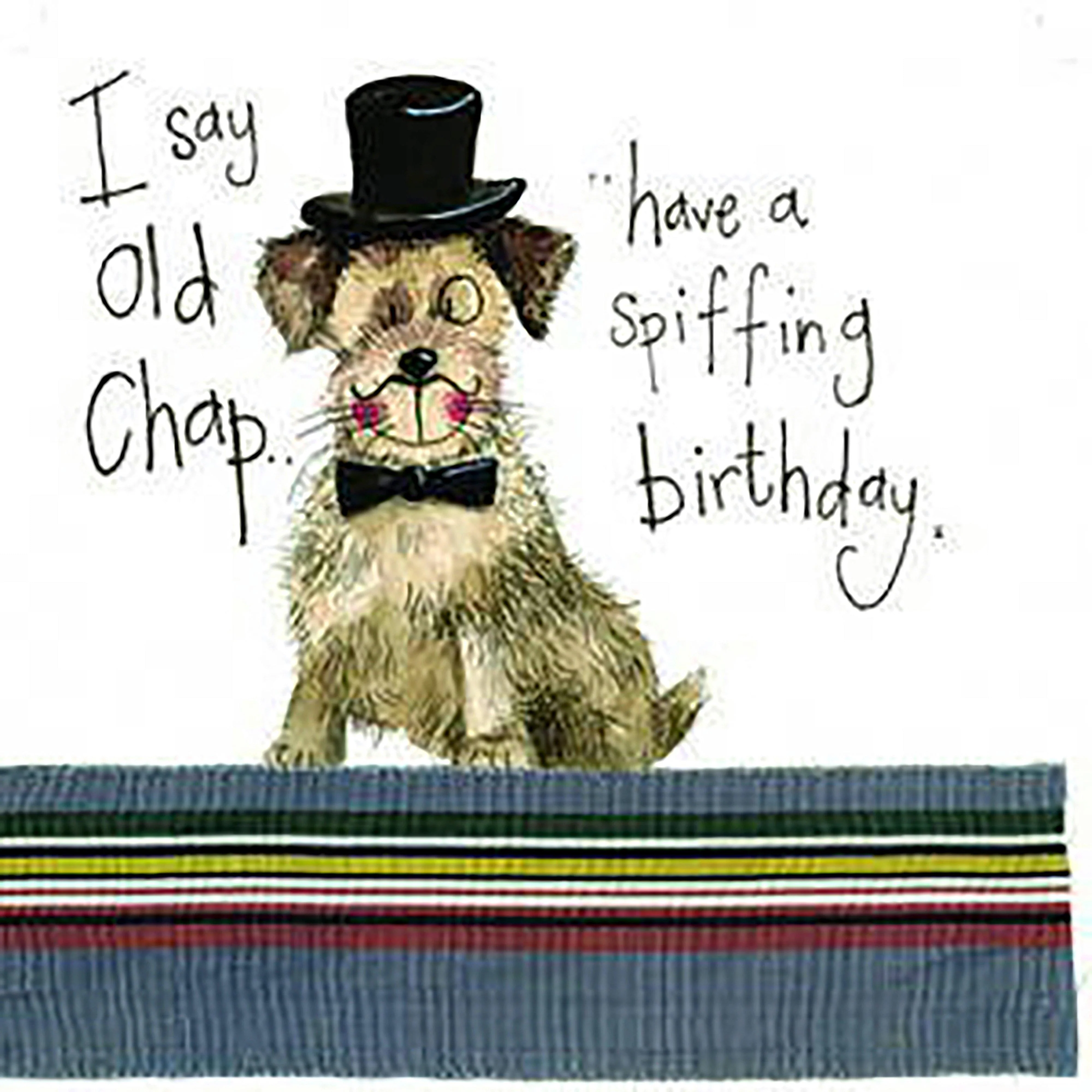 Sparkle Card Posh Paws - Image 2