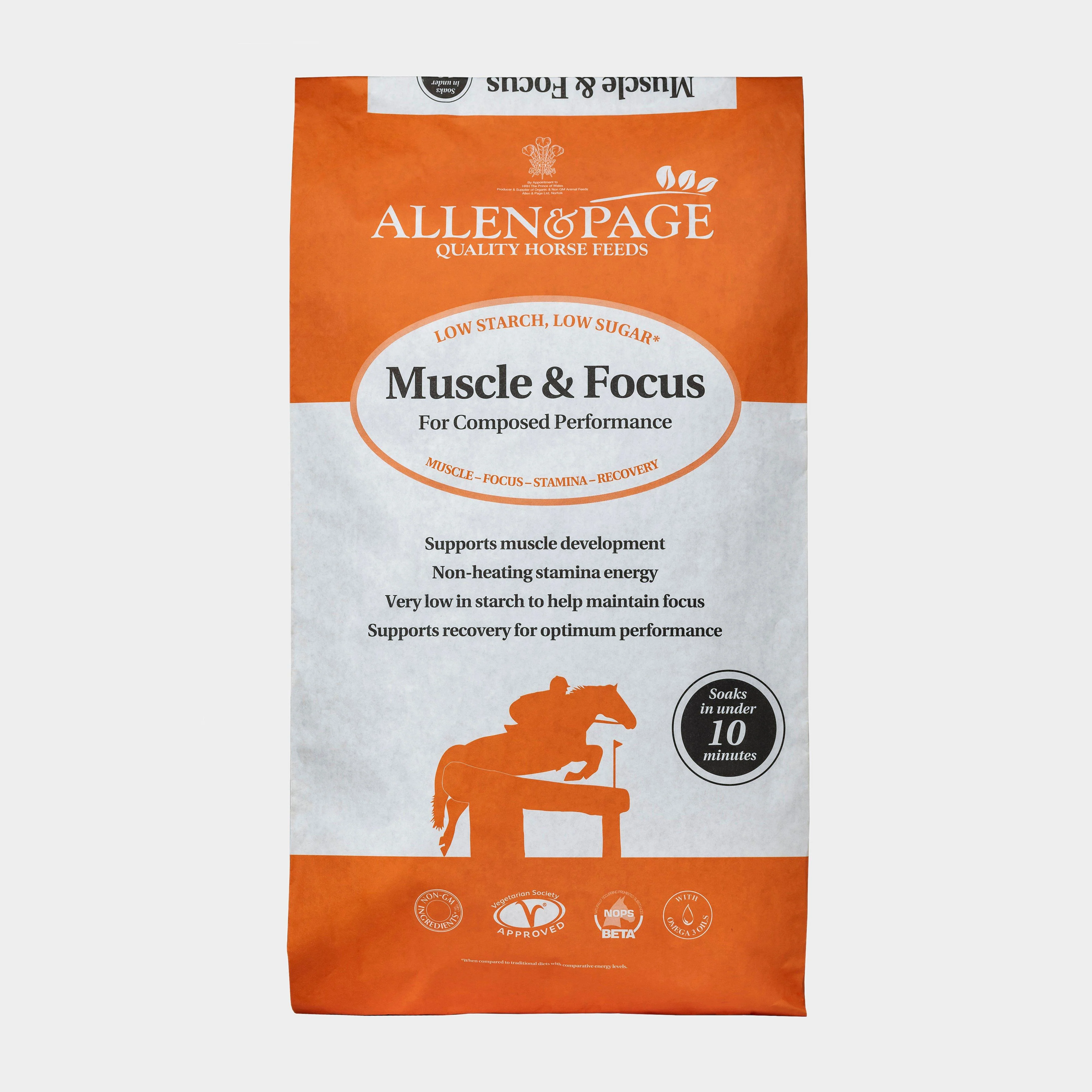 Muscle & Focus