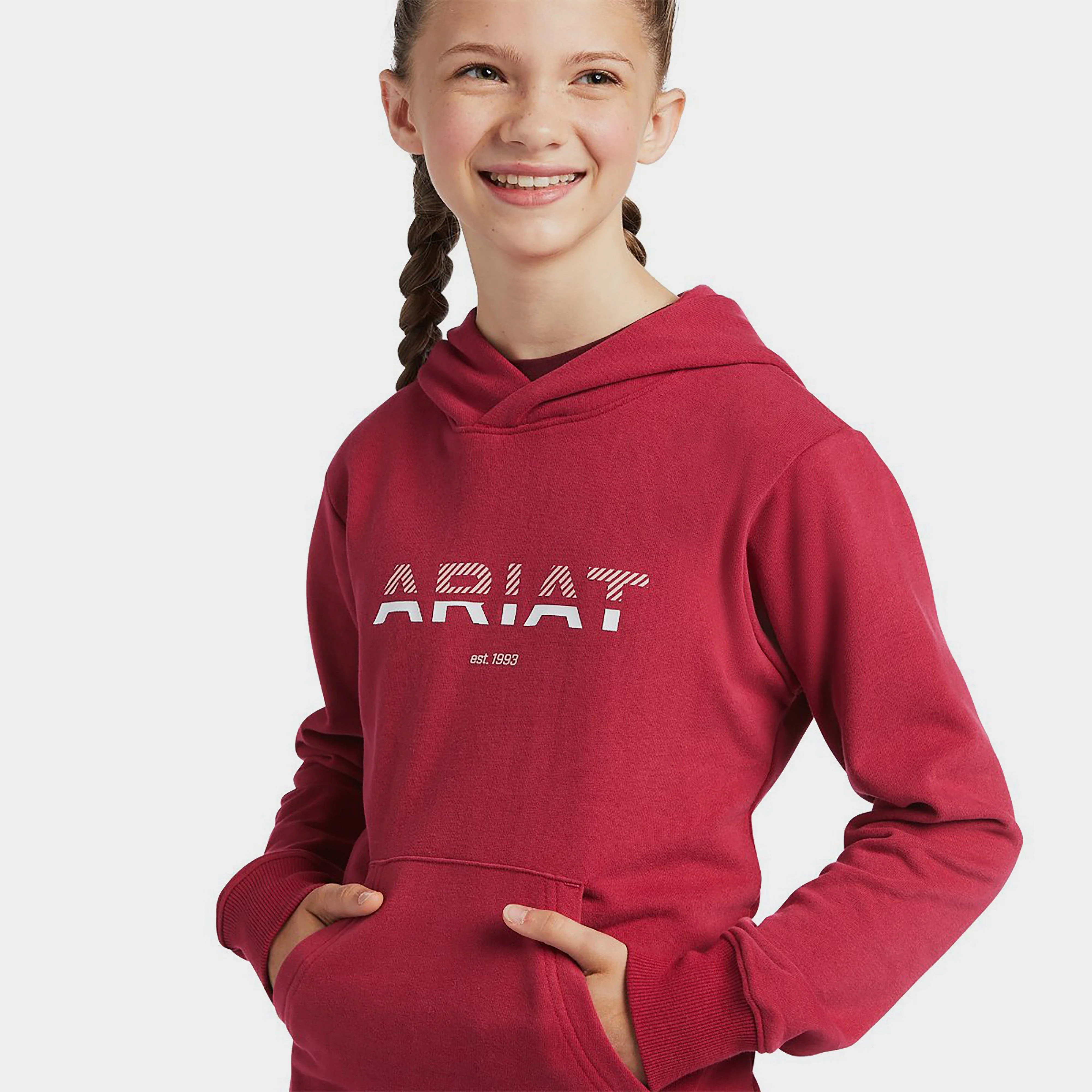 Childs 3D Logo Hoodie Redbud - Image 3