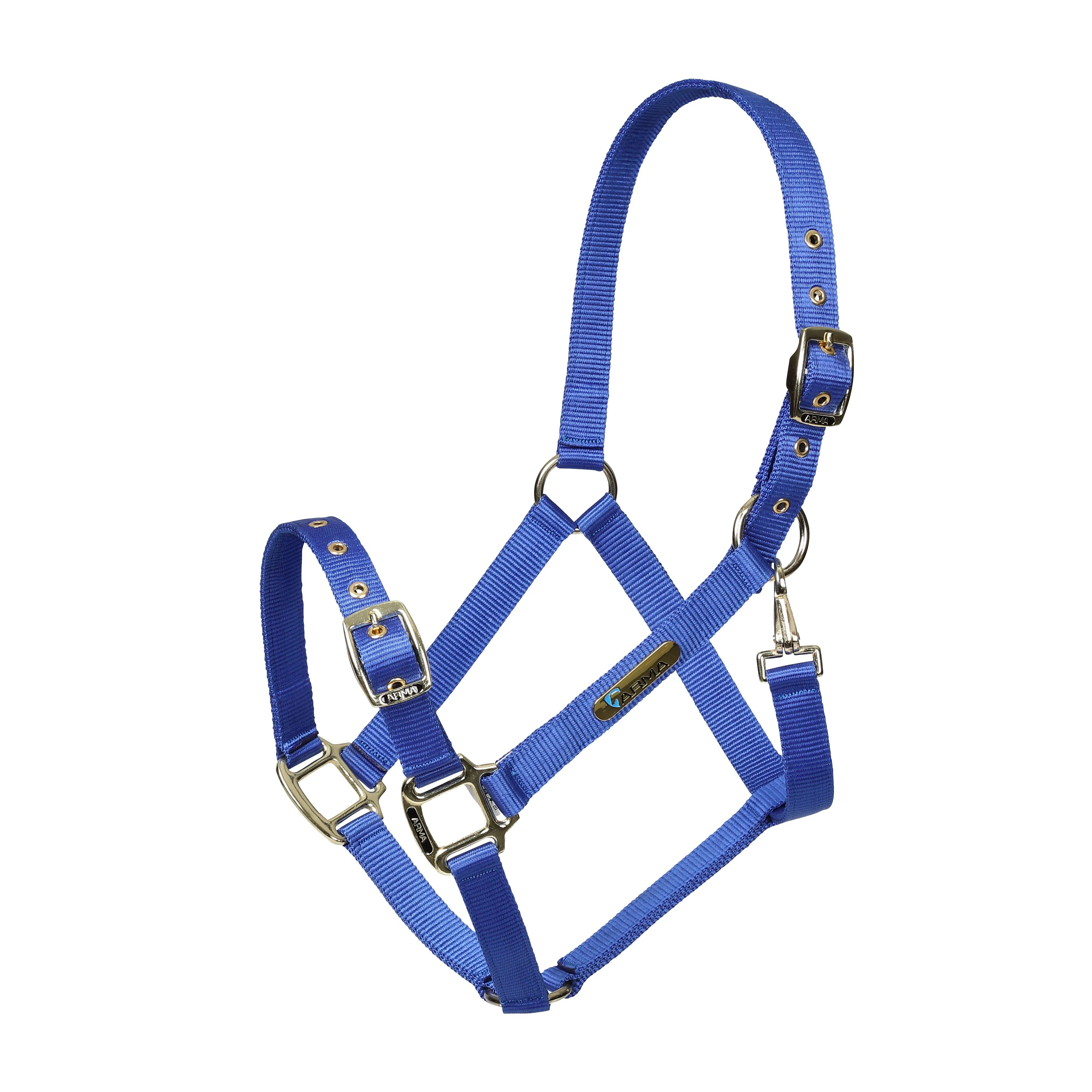 Adjustable Headcollar Blue - Image 2