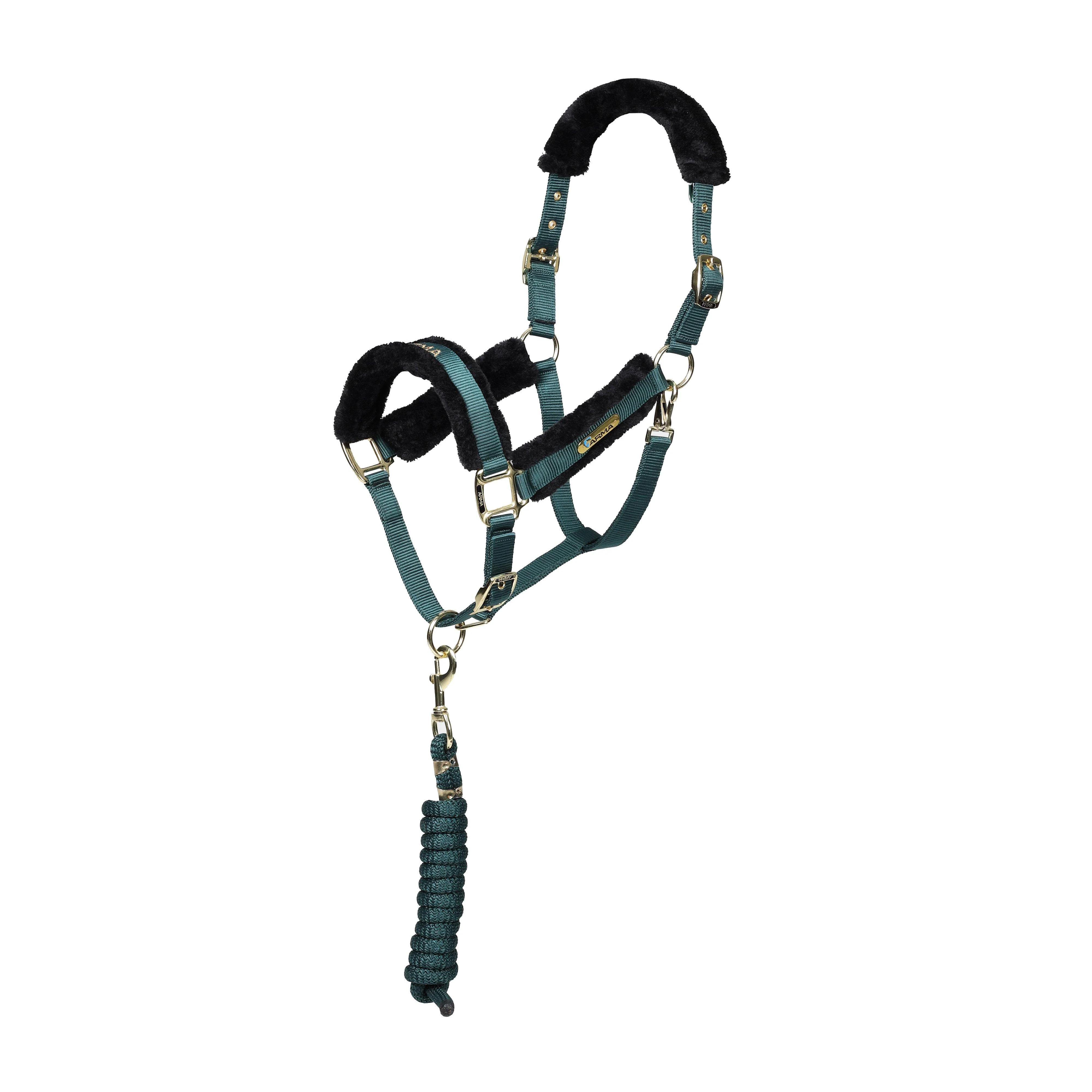 Logo Headcollar & Lead Rope Green - Image 4