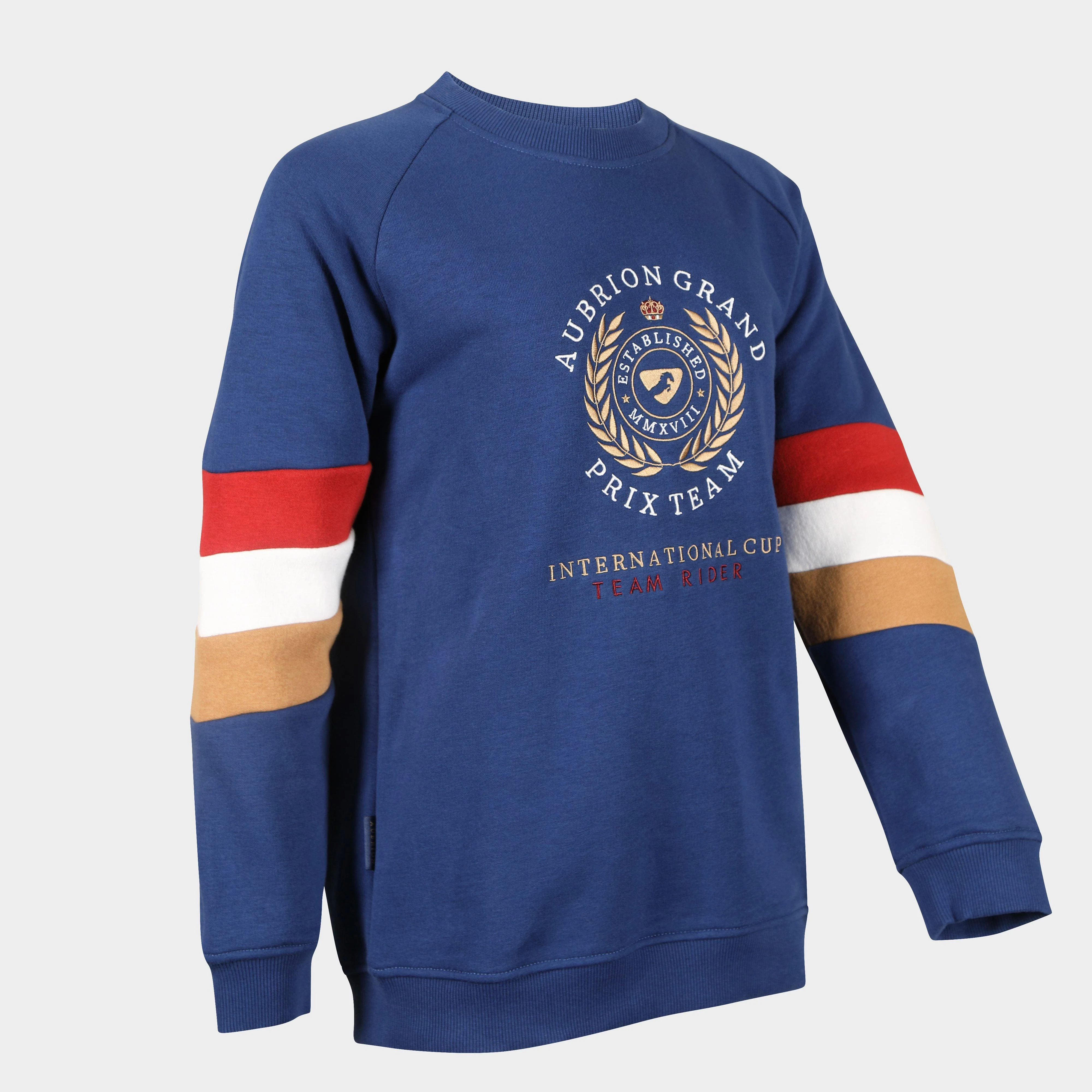 Young Rider Team Sweatshirt Navy - Image 3