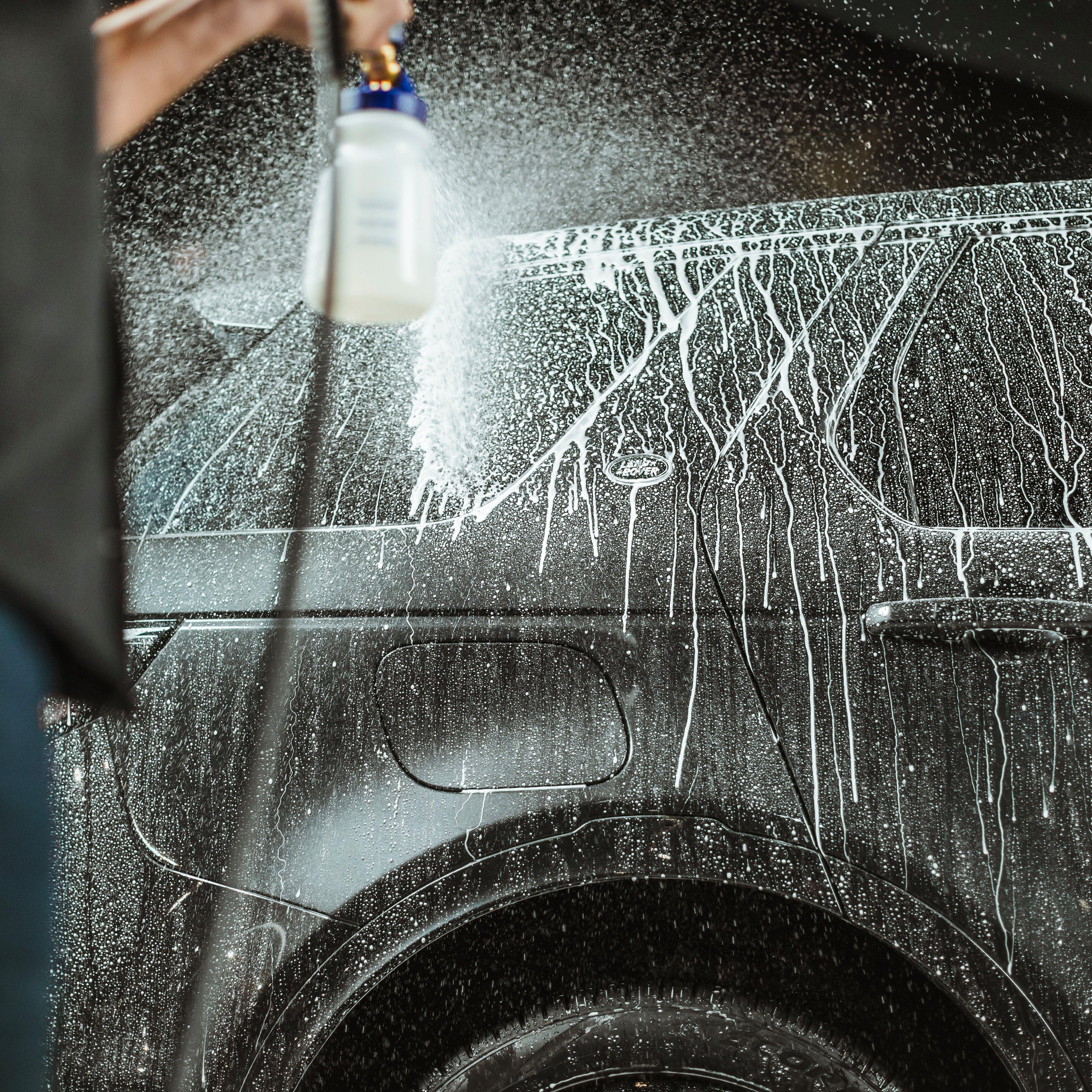 Polar Seal - Image 5