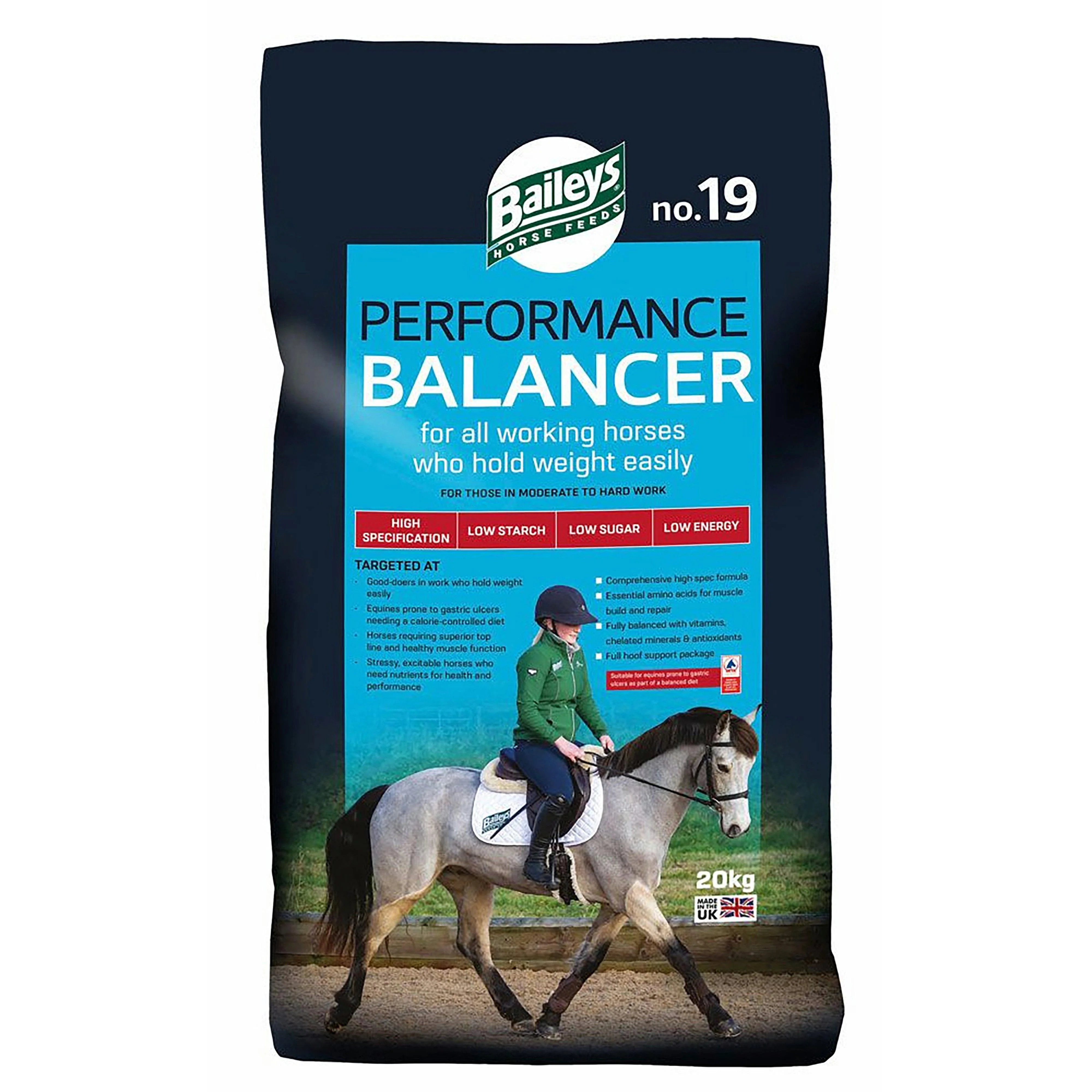 No.19 Performance Balancer 20kg - Image 2