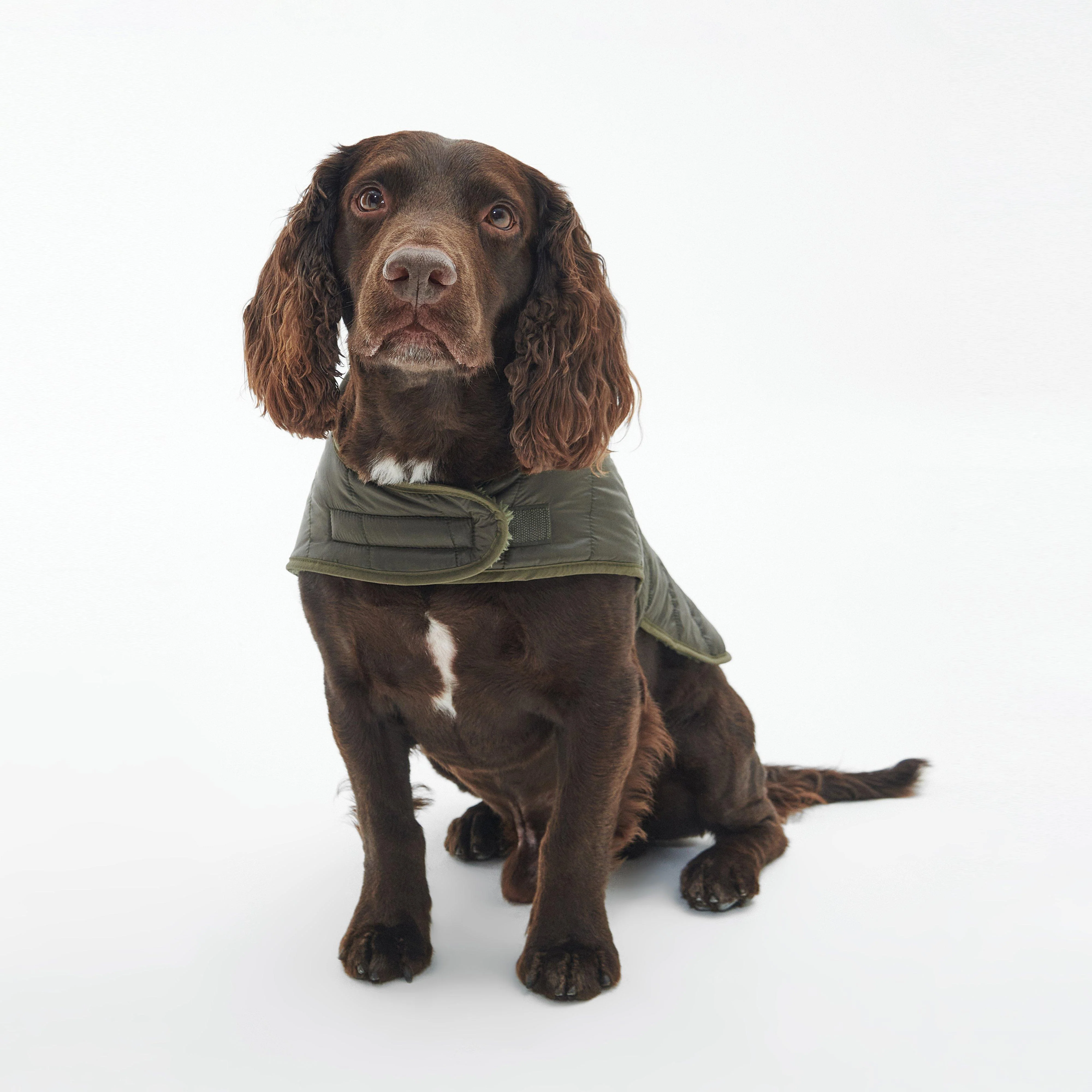 Baffle Quilted Dog Coat Dark Olive - Image 6