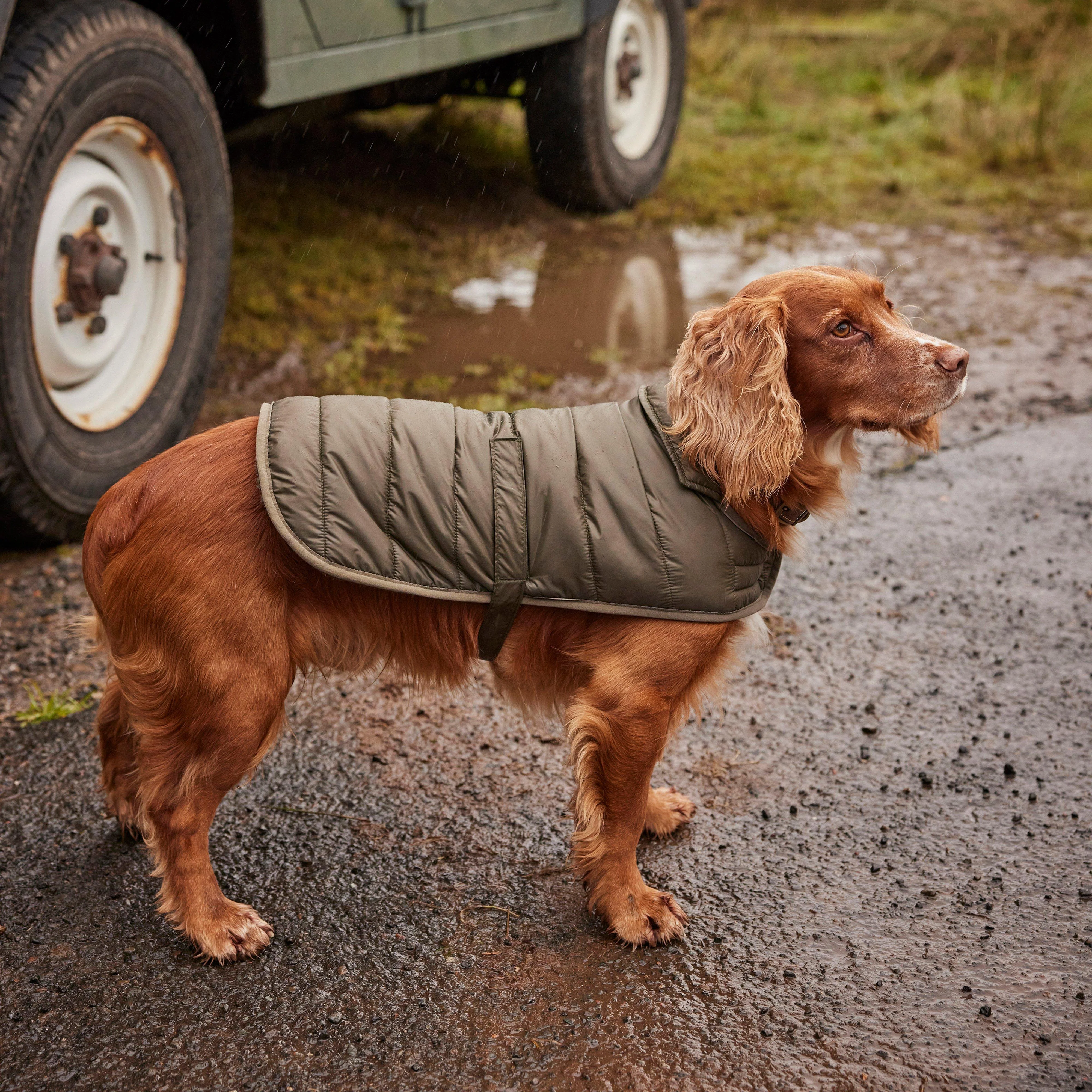 Baffle Quilted Dog Coat Dark Olive - Image 7
