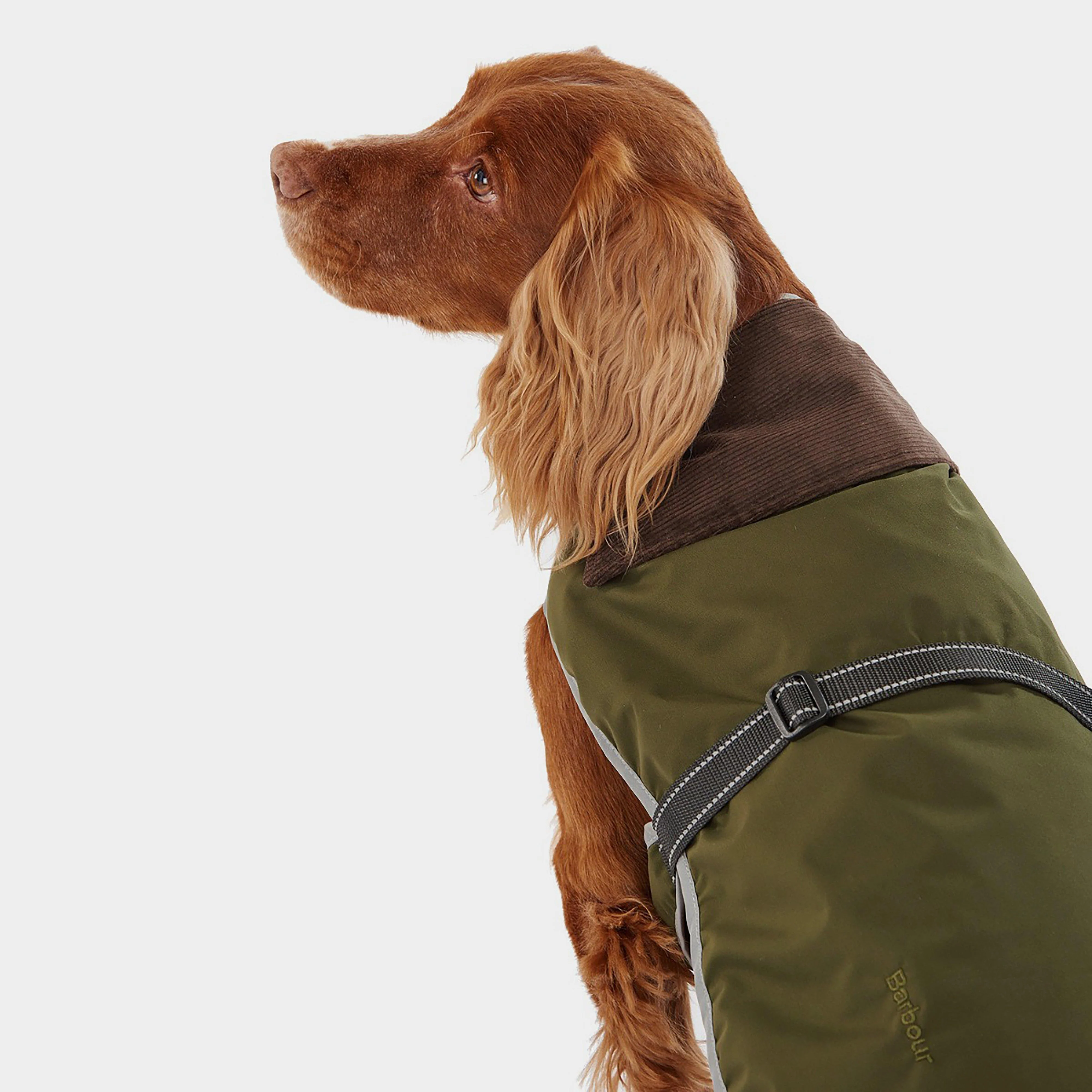 Monmouth Waterproof Dog Coat Olive - Image 6