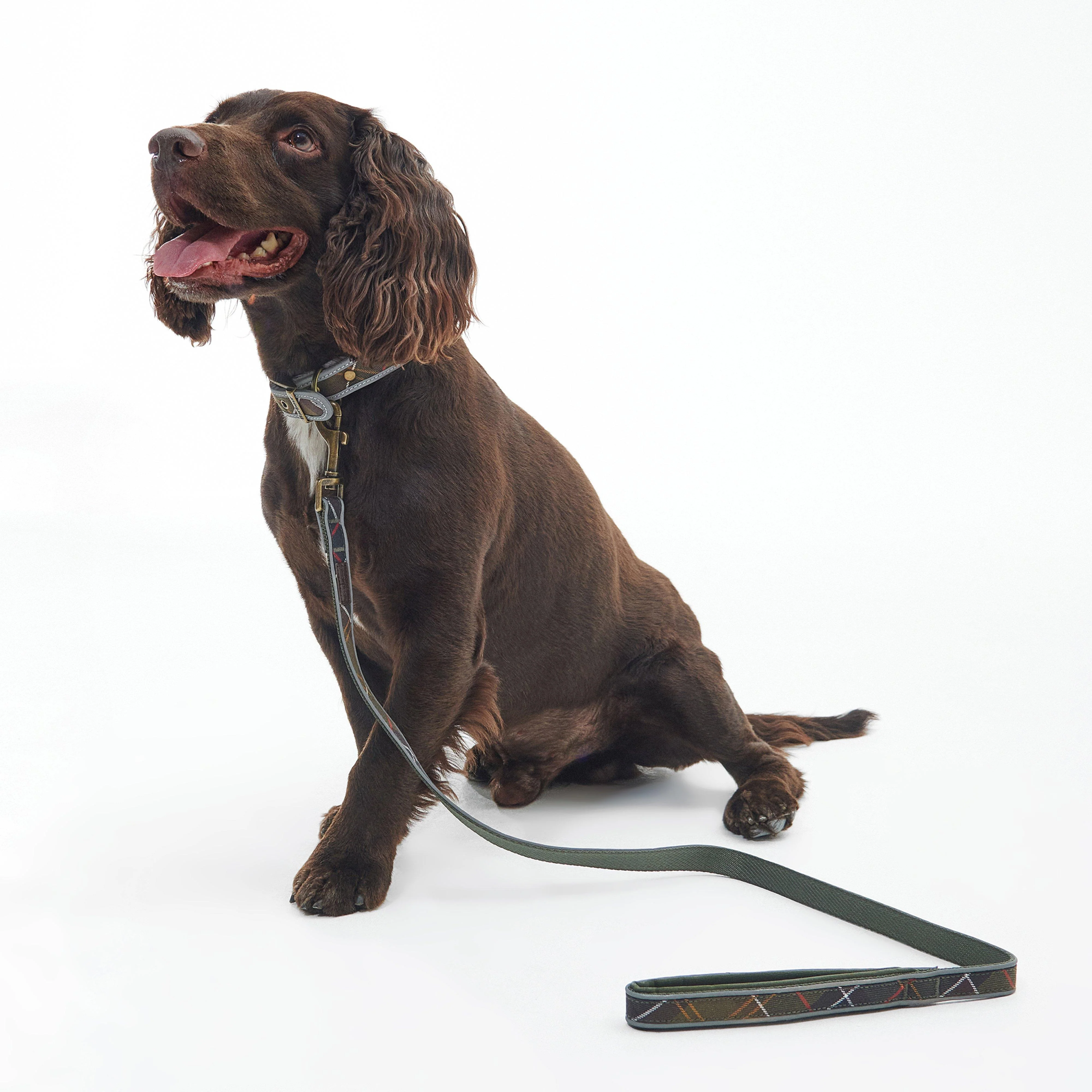 Reflective Tartan Comfort Dog Lead Classic Tartan - Image 5