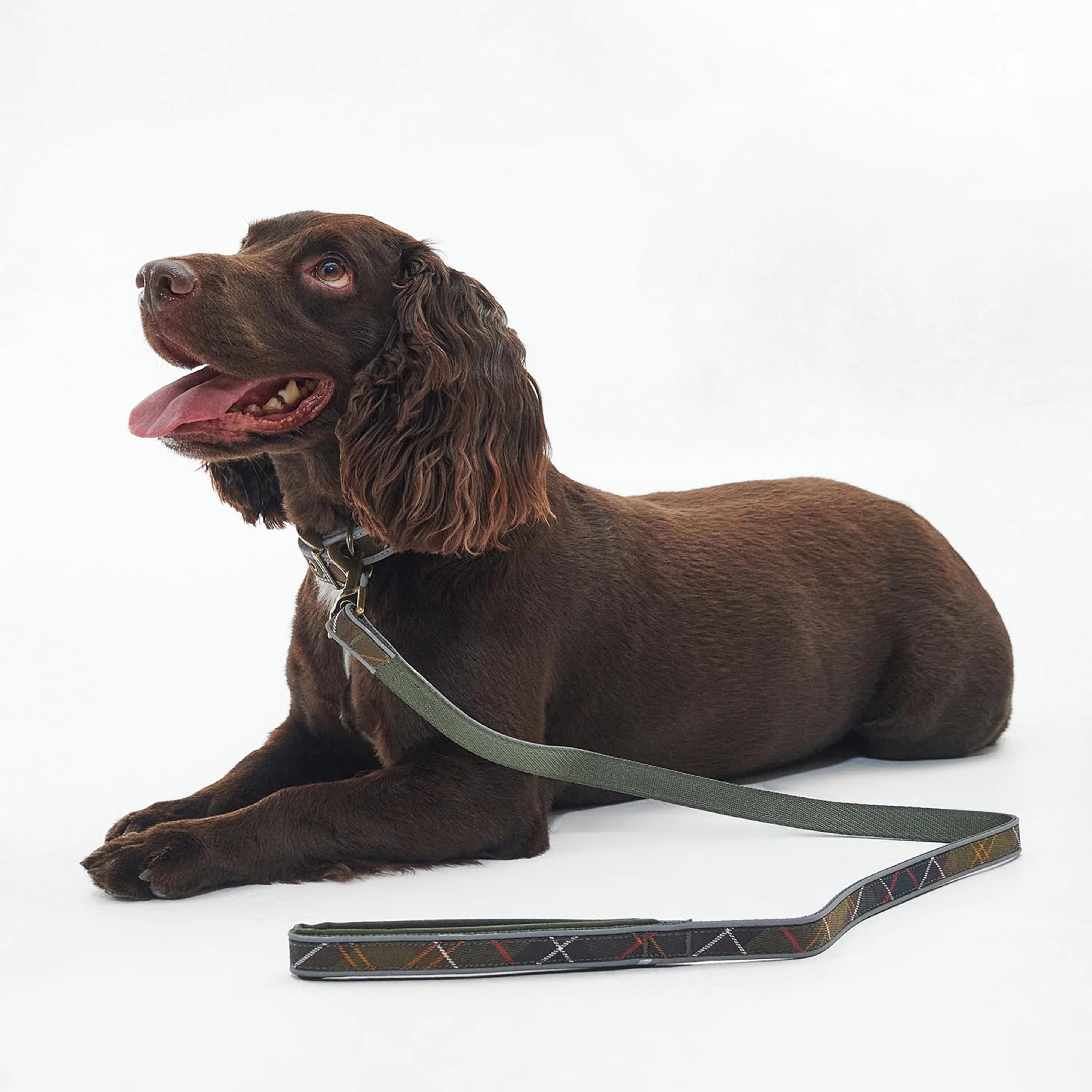 Reflective Tartan Comfort Dog Lead Classic Tartan - Image 6