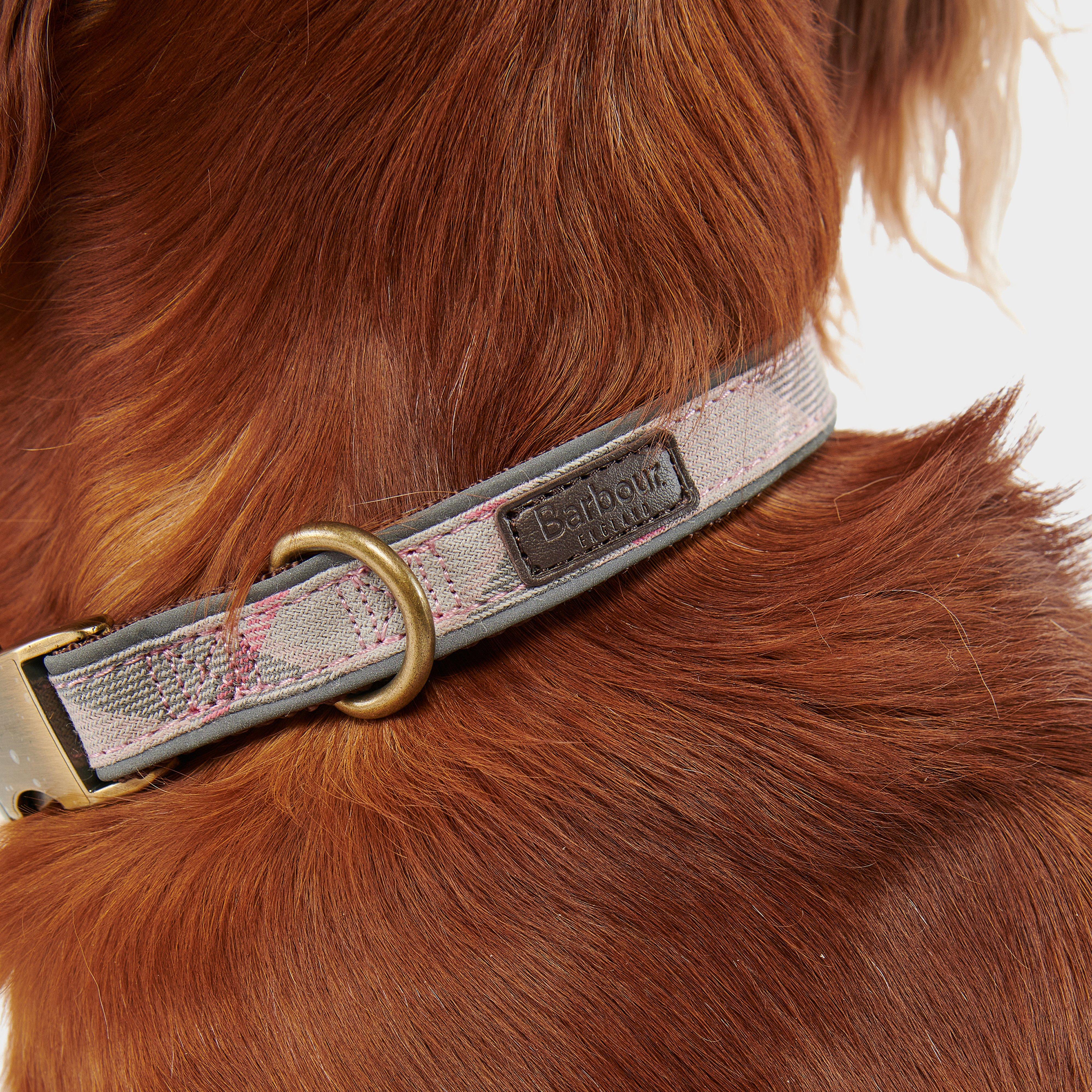 Reflective Tartan Dog Collar Taupe/Pink Tartan - Image 3