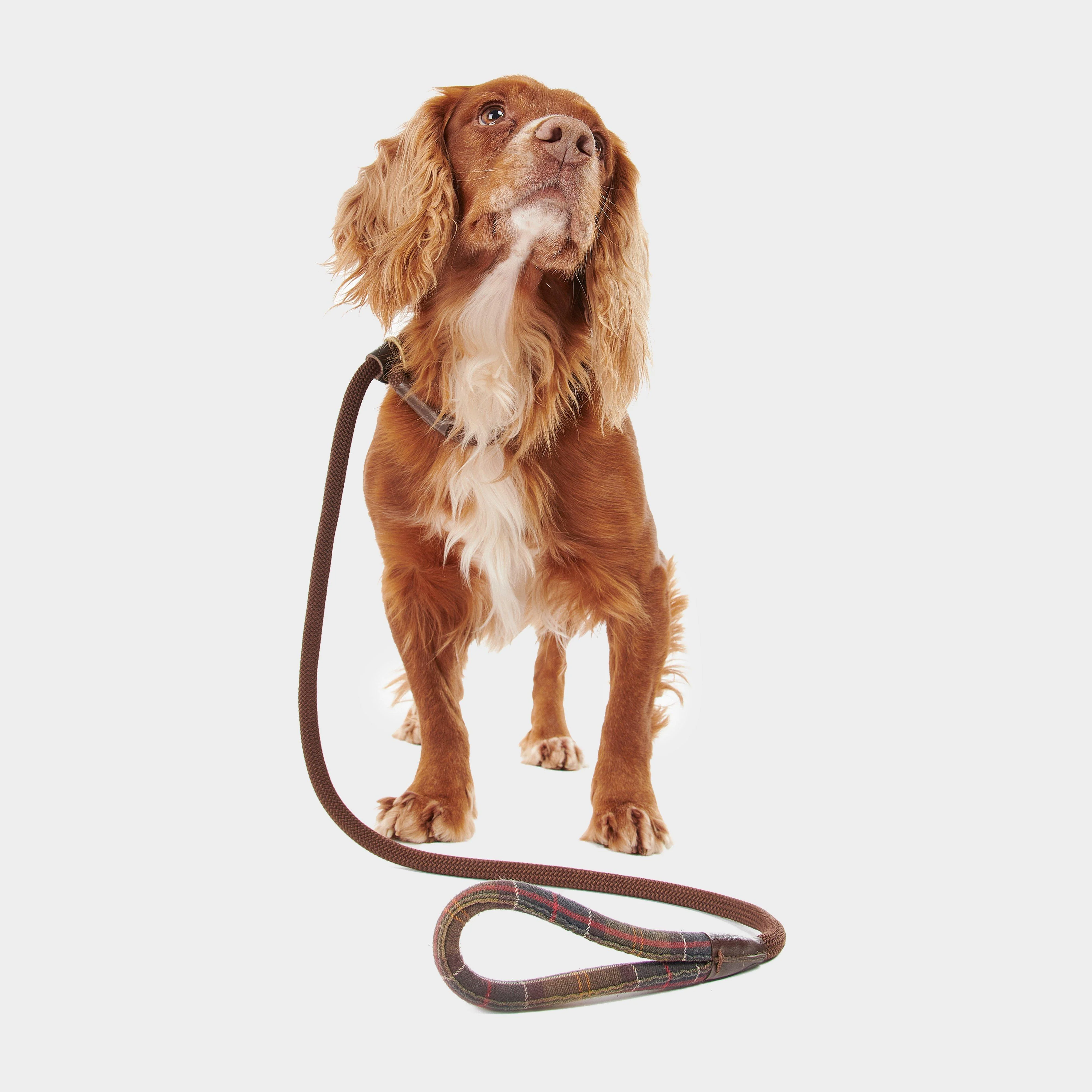 Tartan Trimmed Slip Lead Classic - Image 4