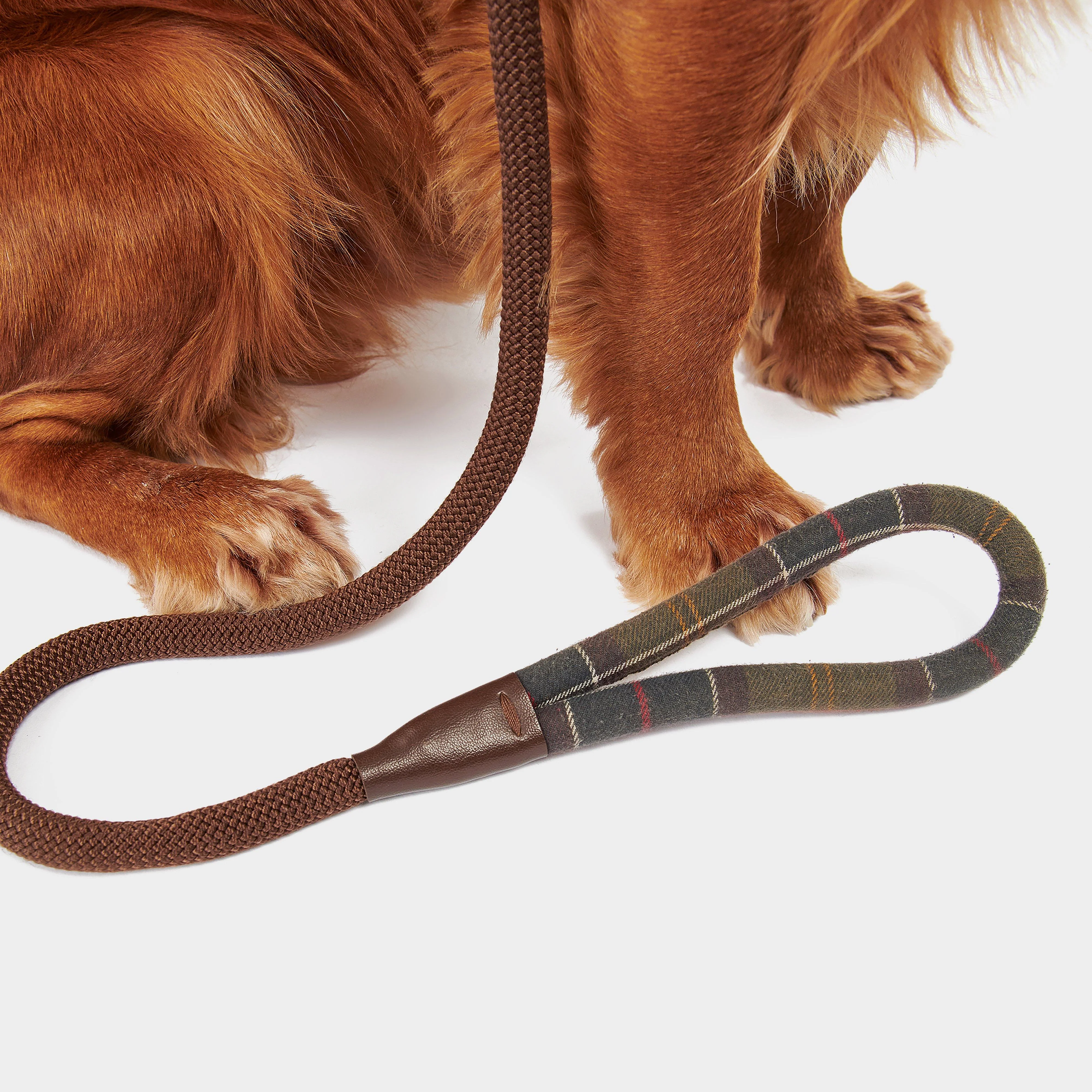 Tartan Trimmed Slip Lead Classic - Image 5