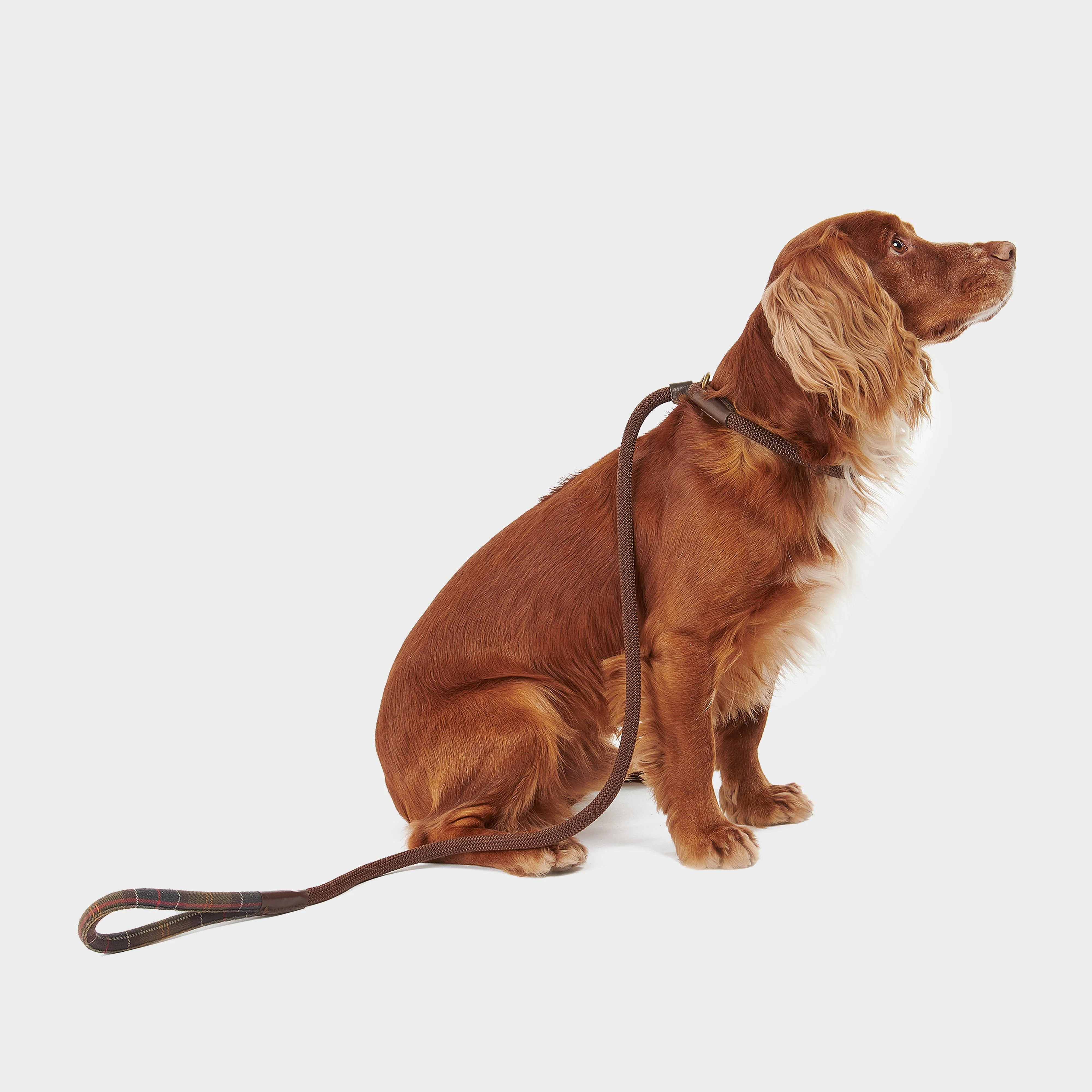 Tartan Trimmed Slip Lead Classic - Image 6