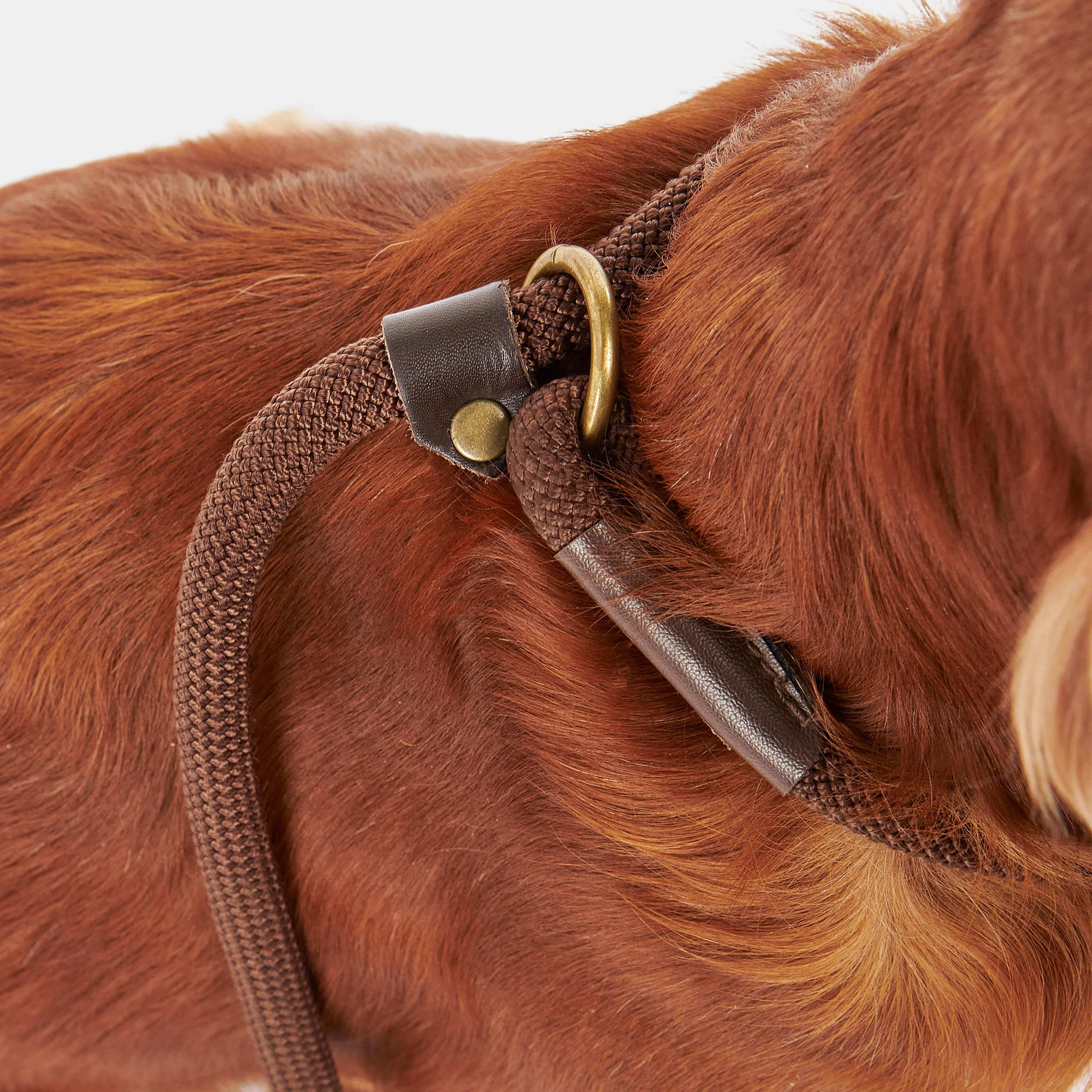 Tartan Trimmed Slip Lead Classic - Image 7