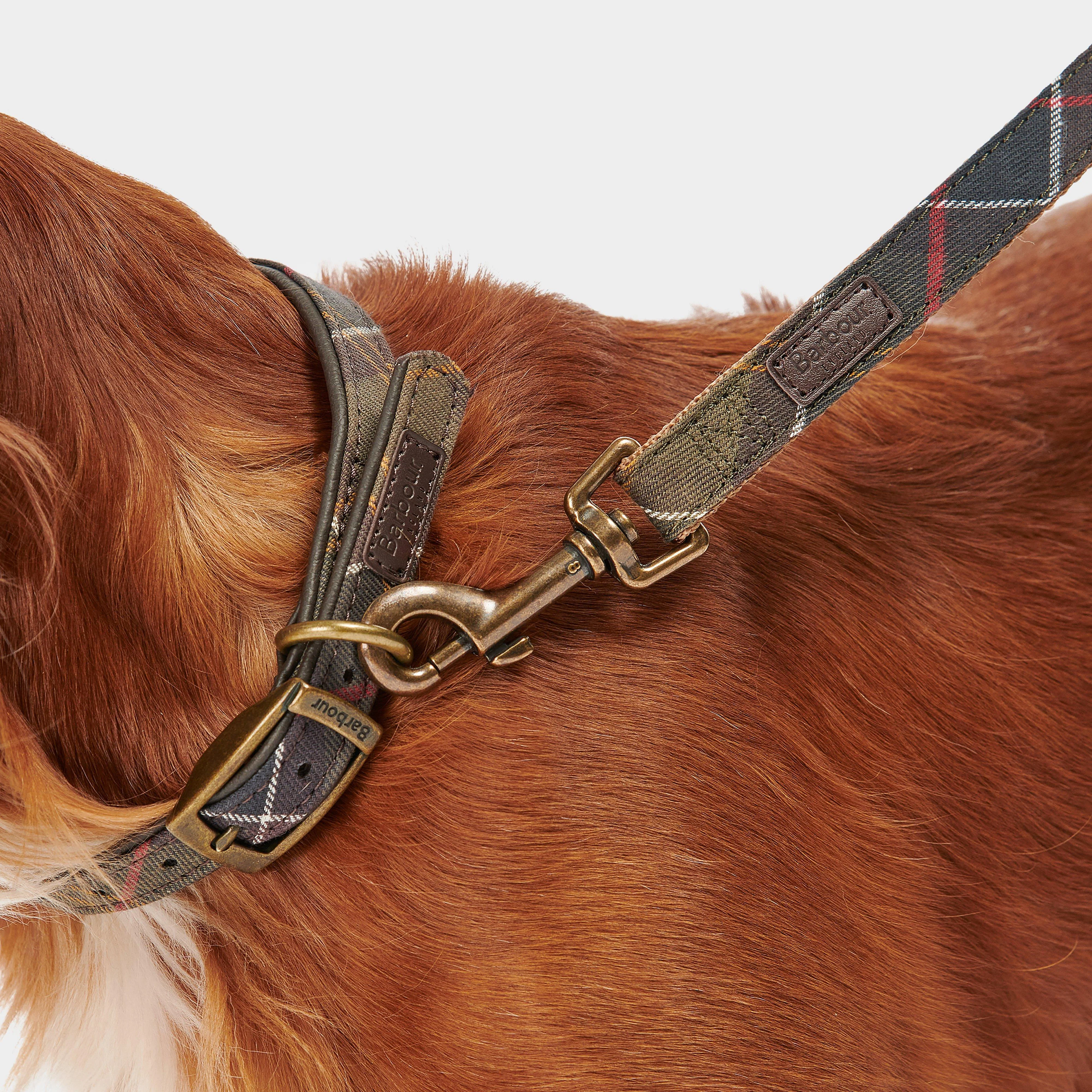 Tartan/Webbing Lead Classic - Image 5