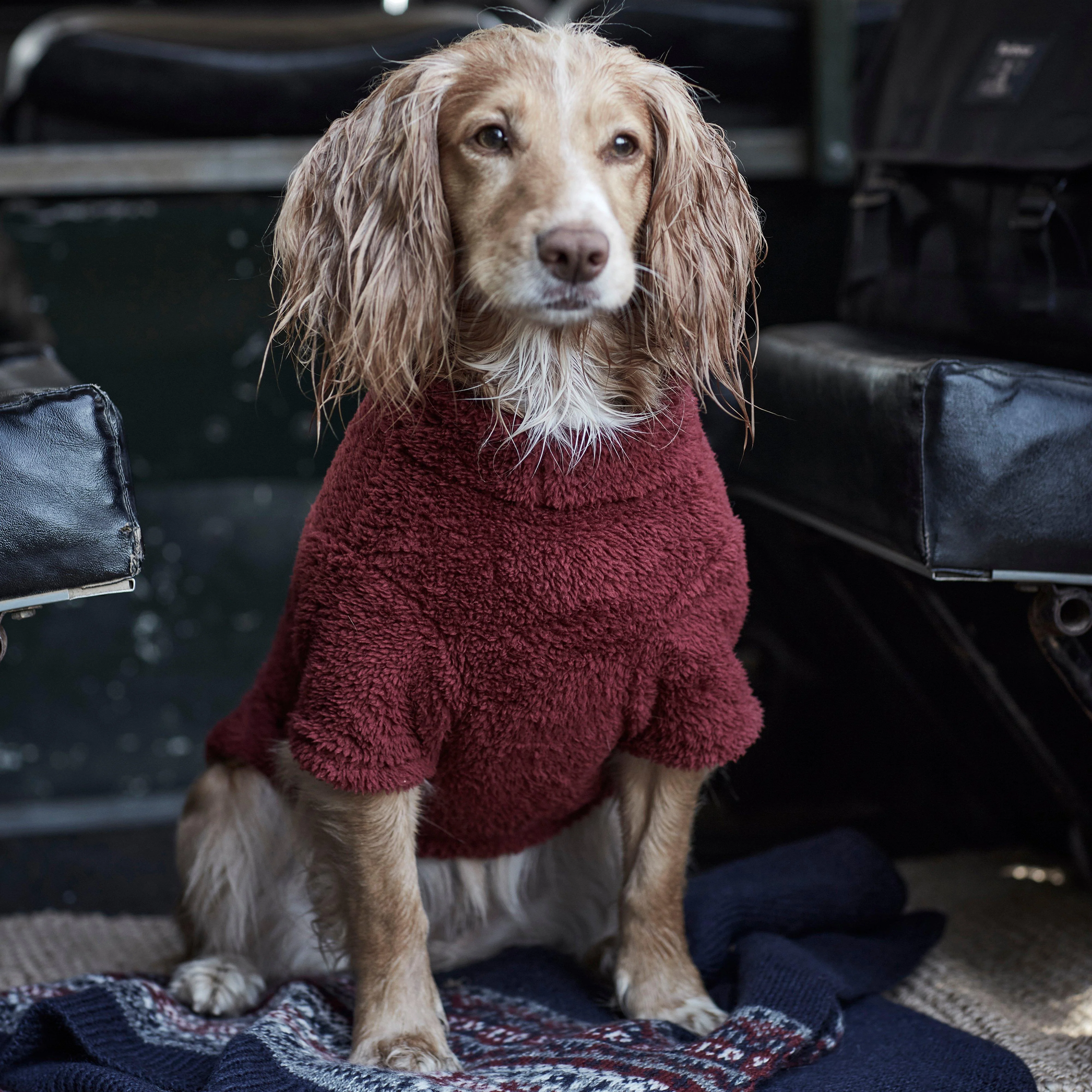 Teddy Fleece Dog Jumper Red - Image 5