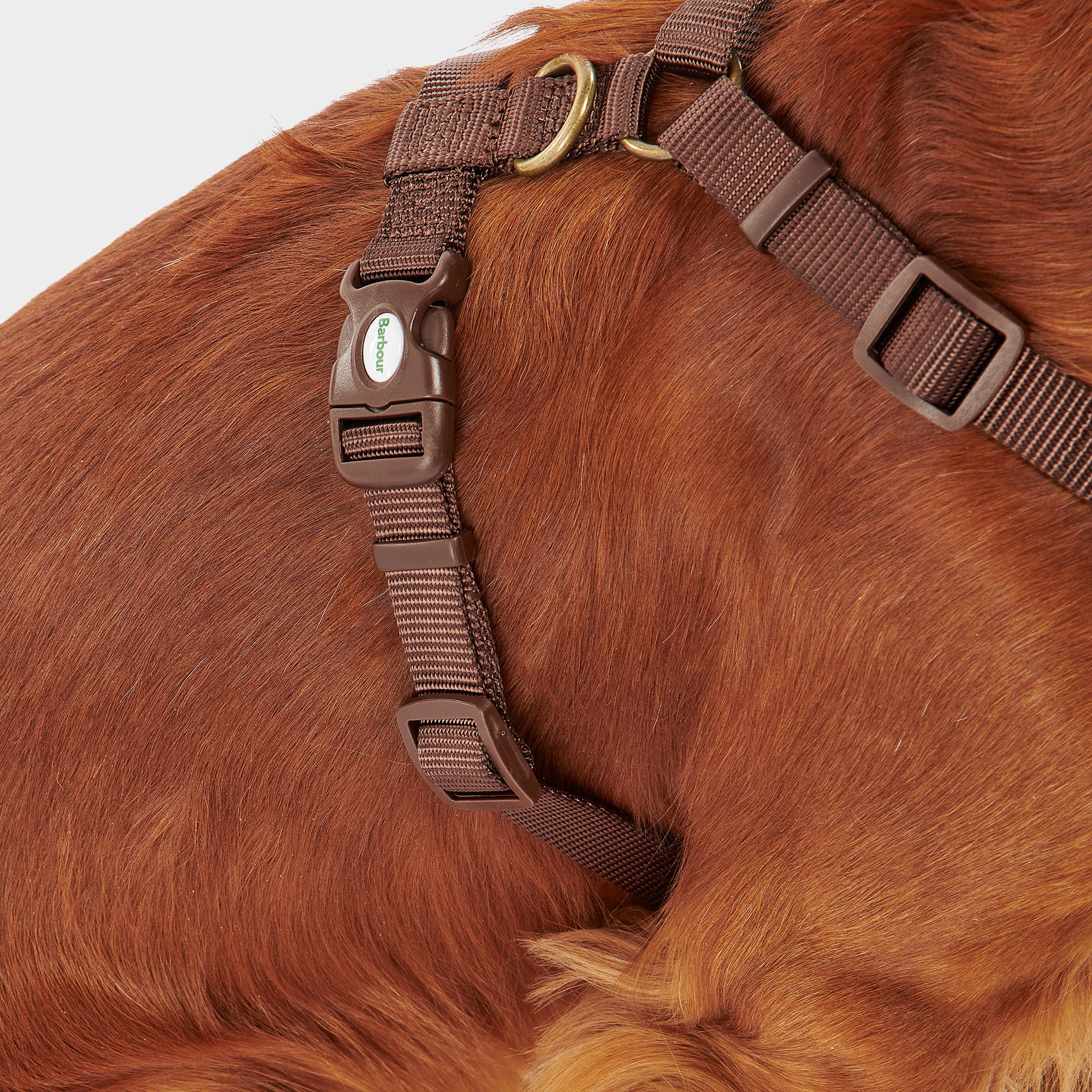 Travel & Exercise Harness Classic - Image 7