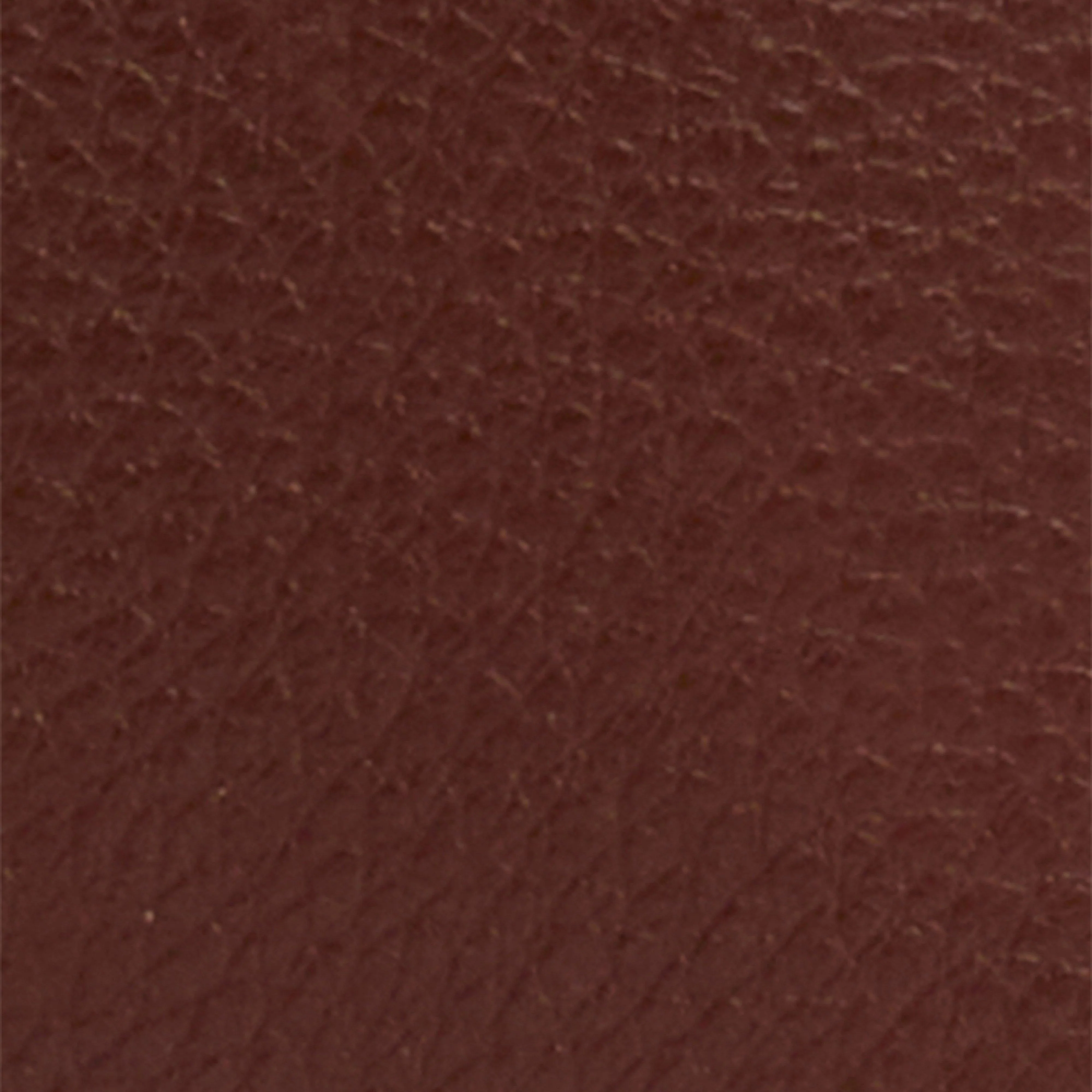 Women's Alder Leather Card Holder Brown - Image 6