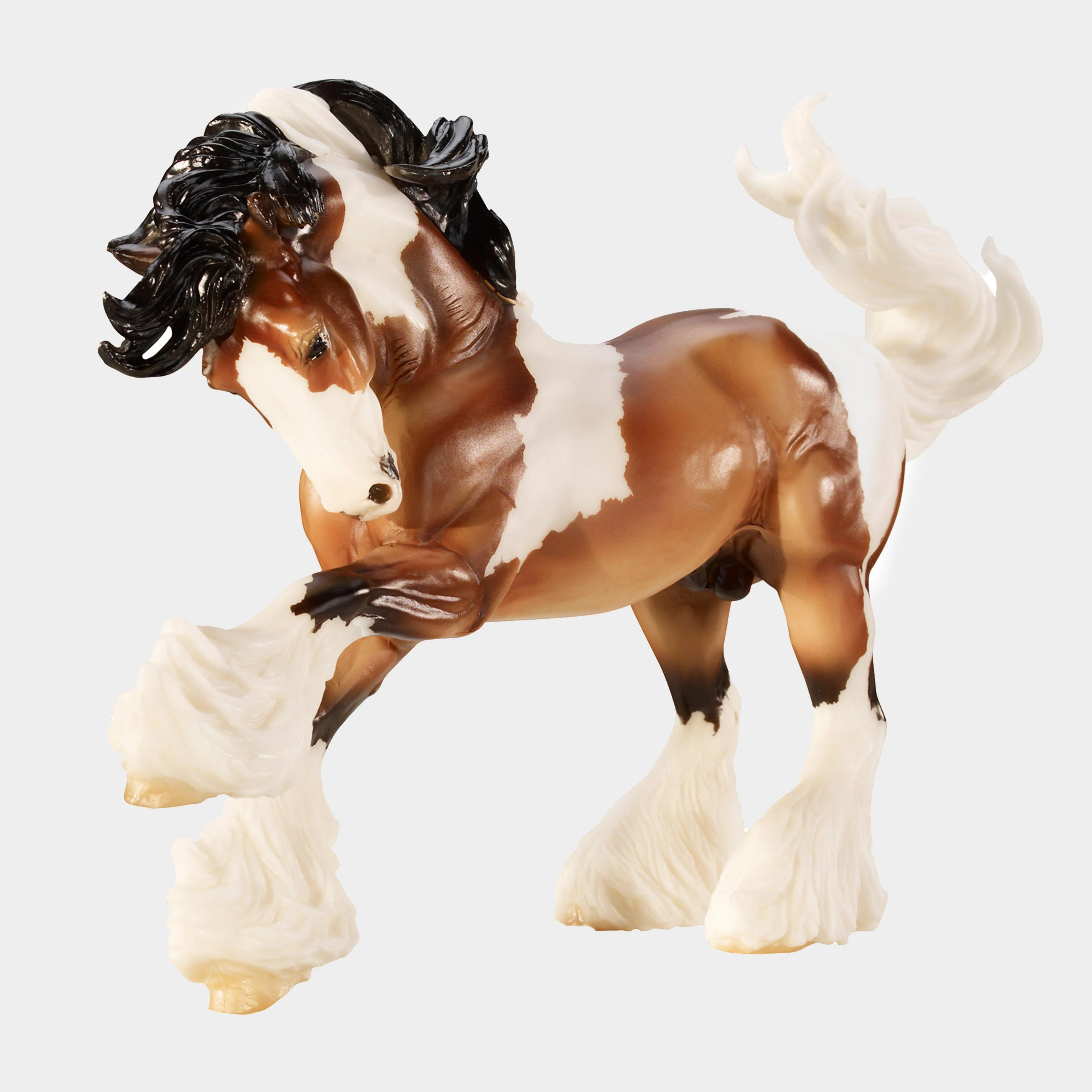 Gypsy Vanner - Image 2