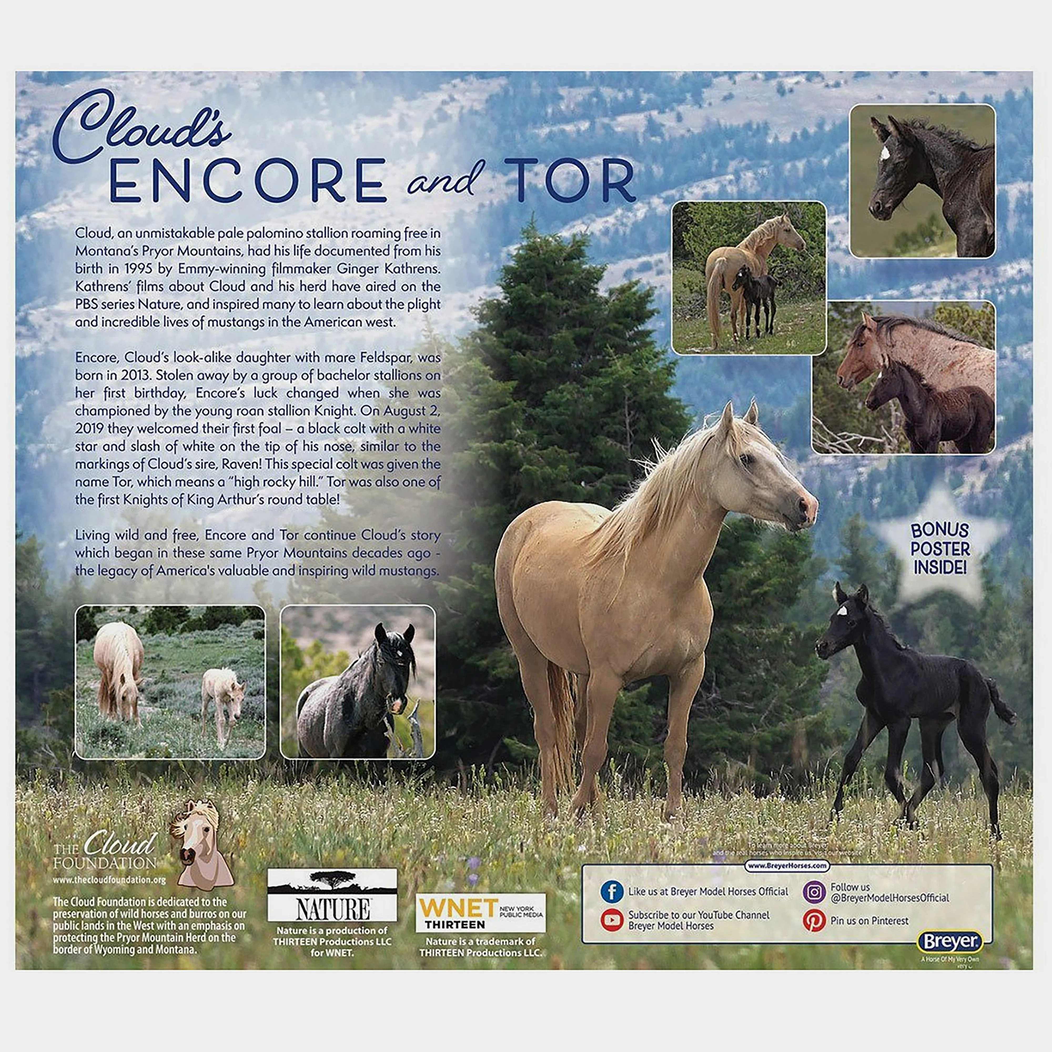 Traditional Encore & Tor - Image 3