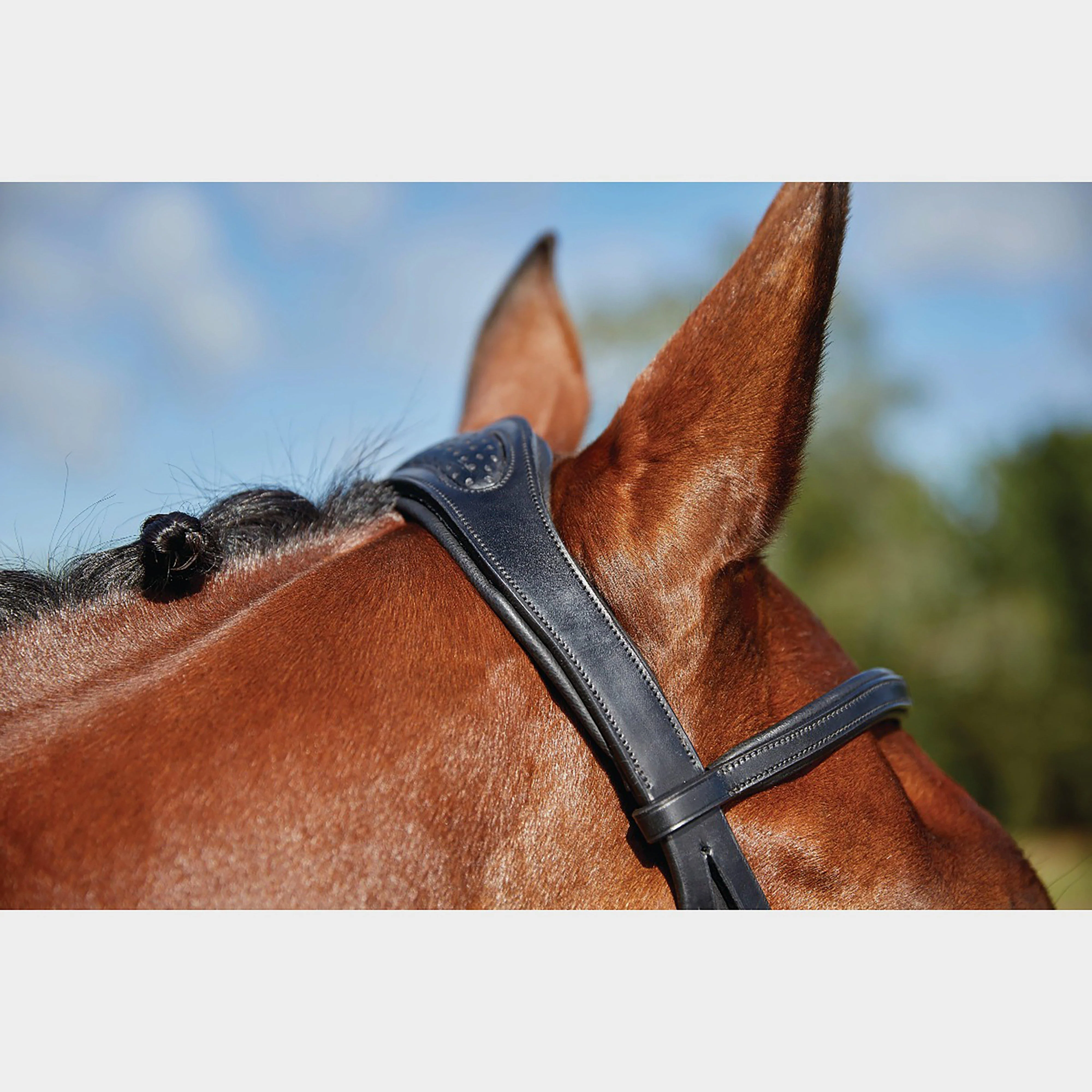 ComFiTec Training Bridle Black - Image 7