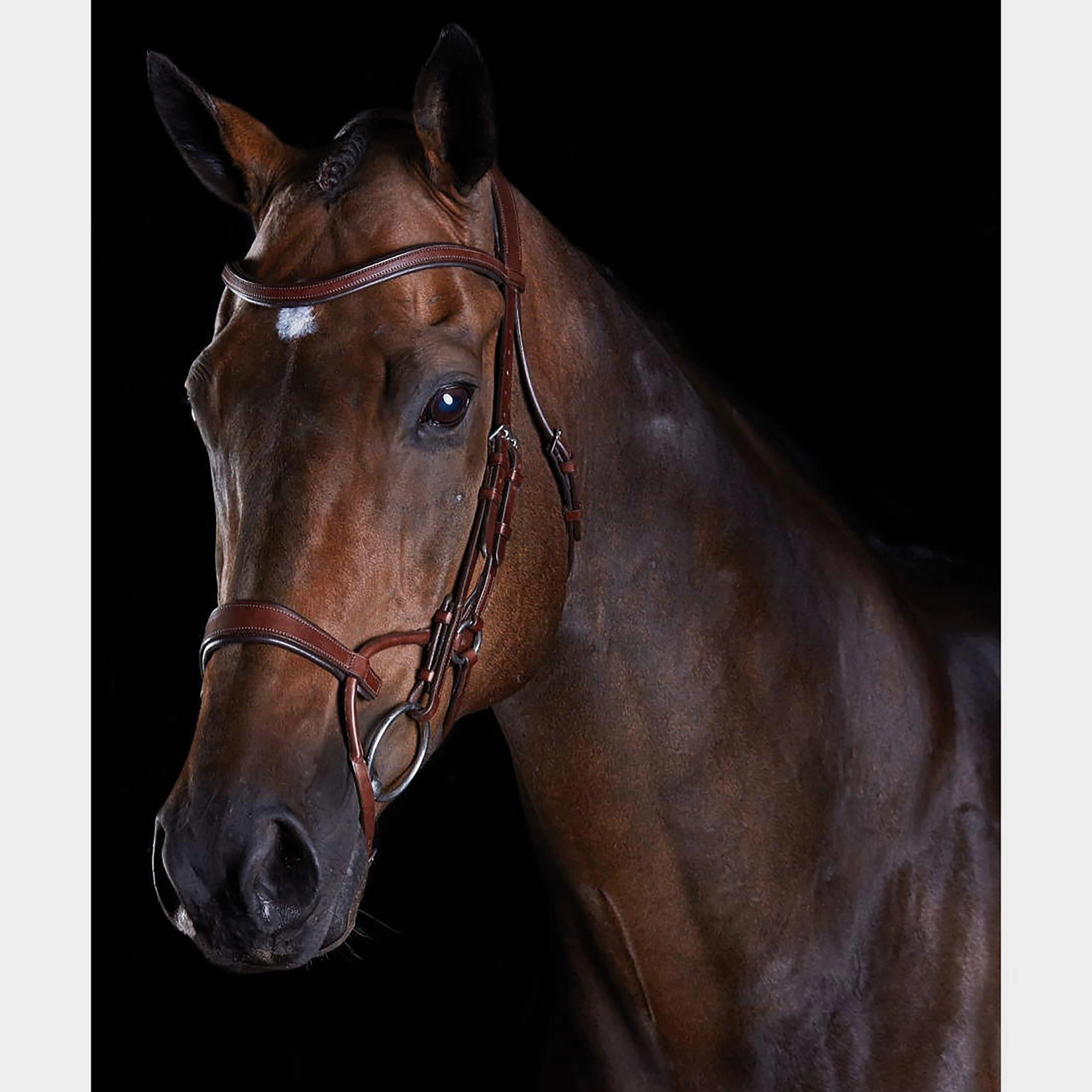ComFiTec Training Bridle Brown - Image 2