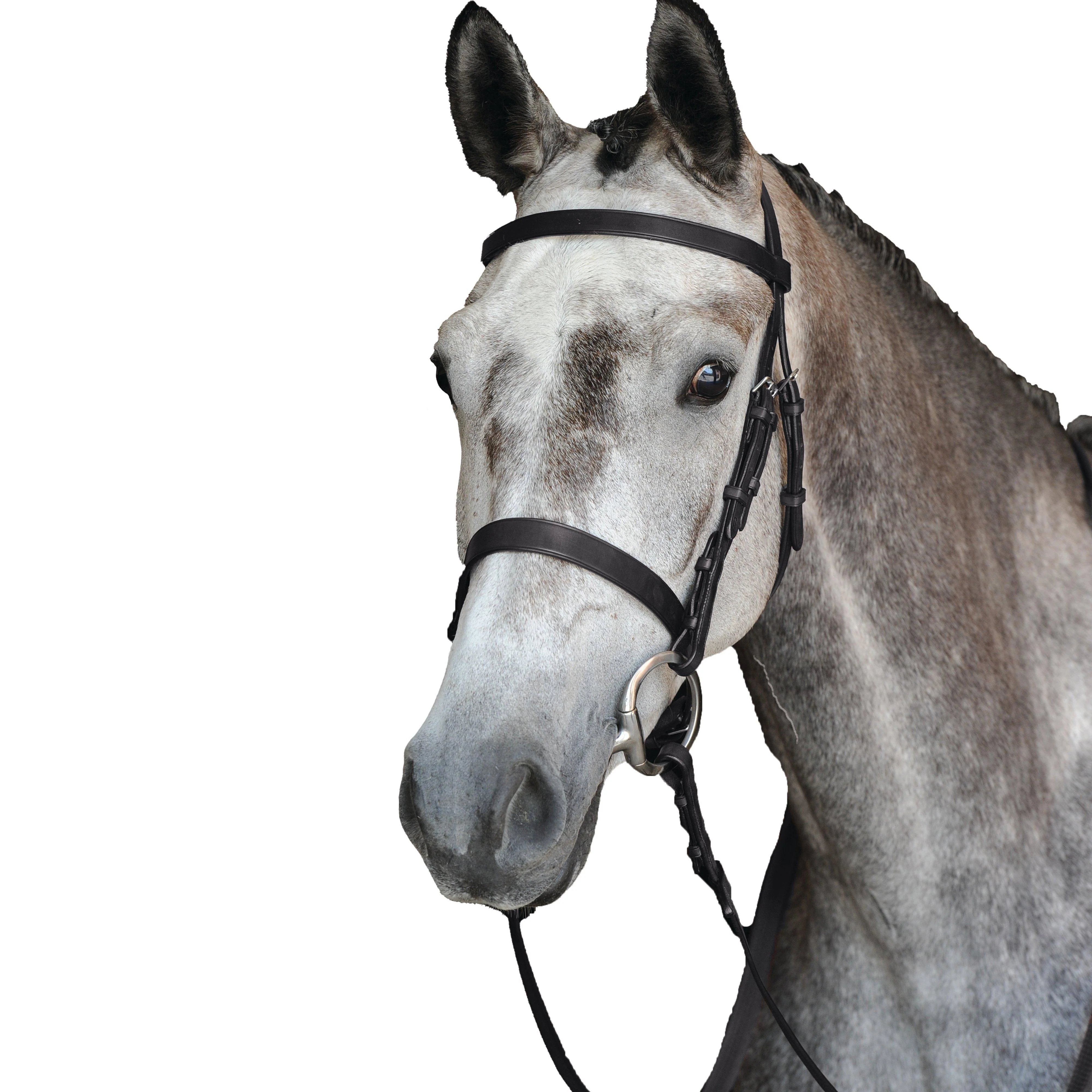 Hunt Cavesson Bridle IV Black - Image 2