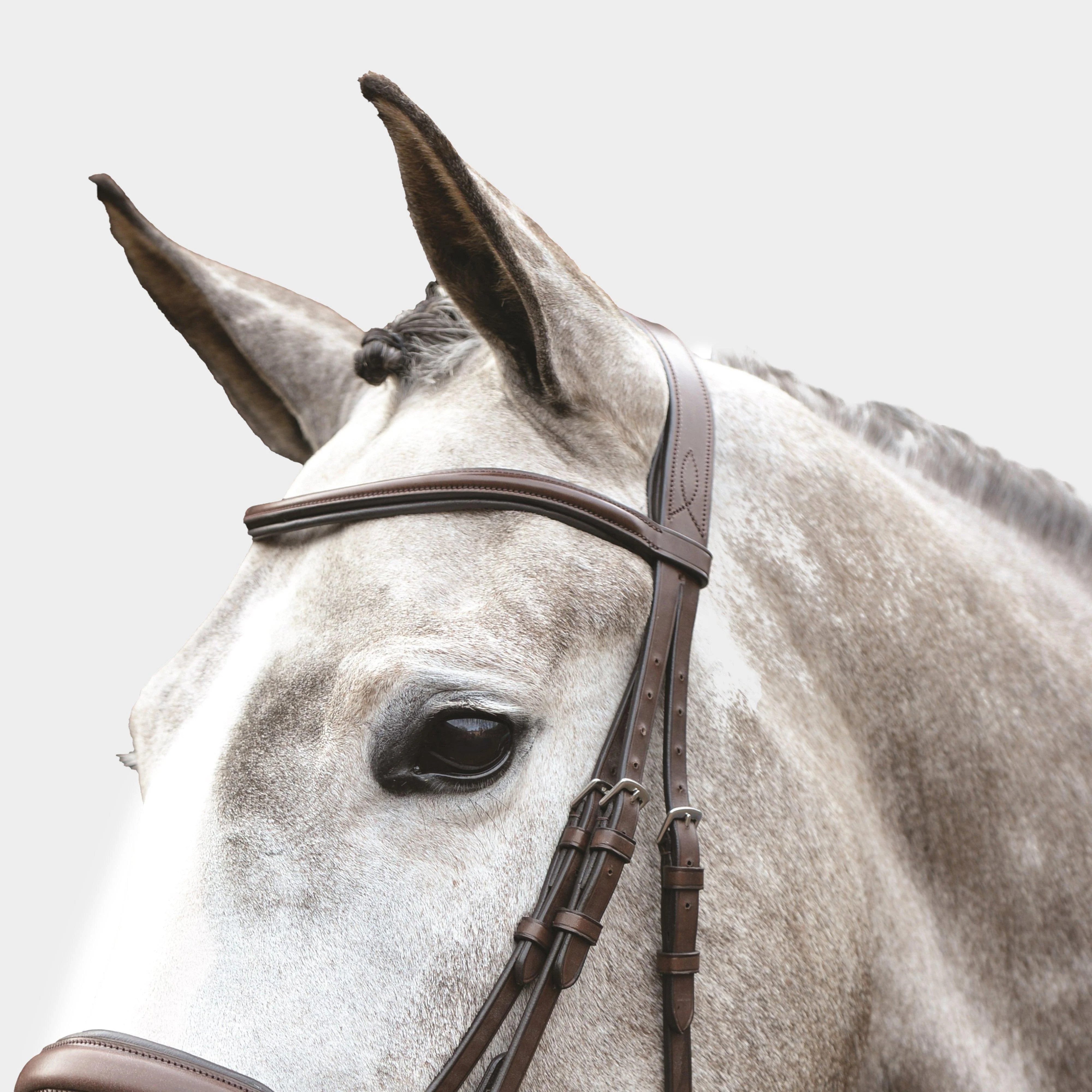 Mono Crown Padded Raised Flash Bridle Brown - Image 2