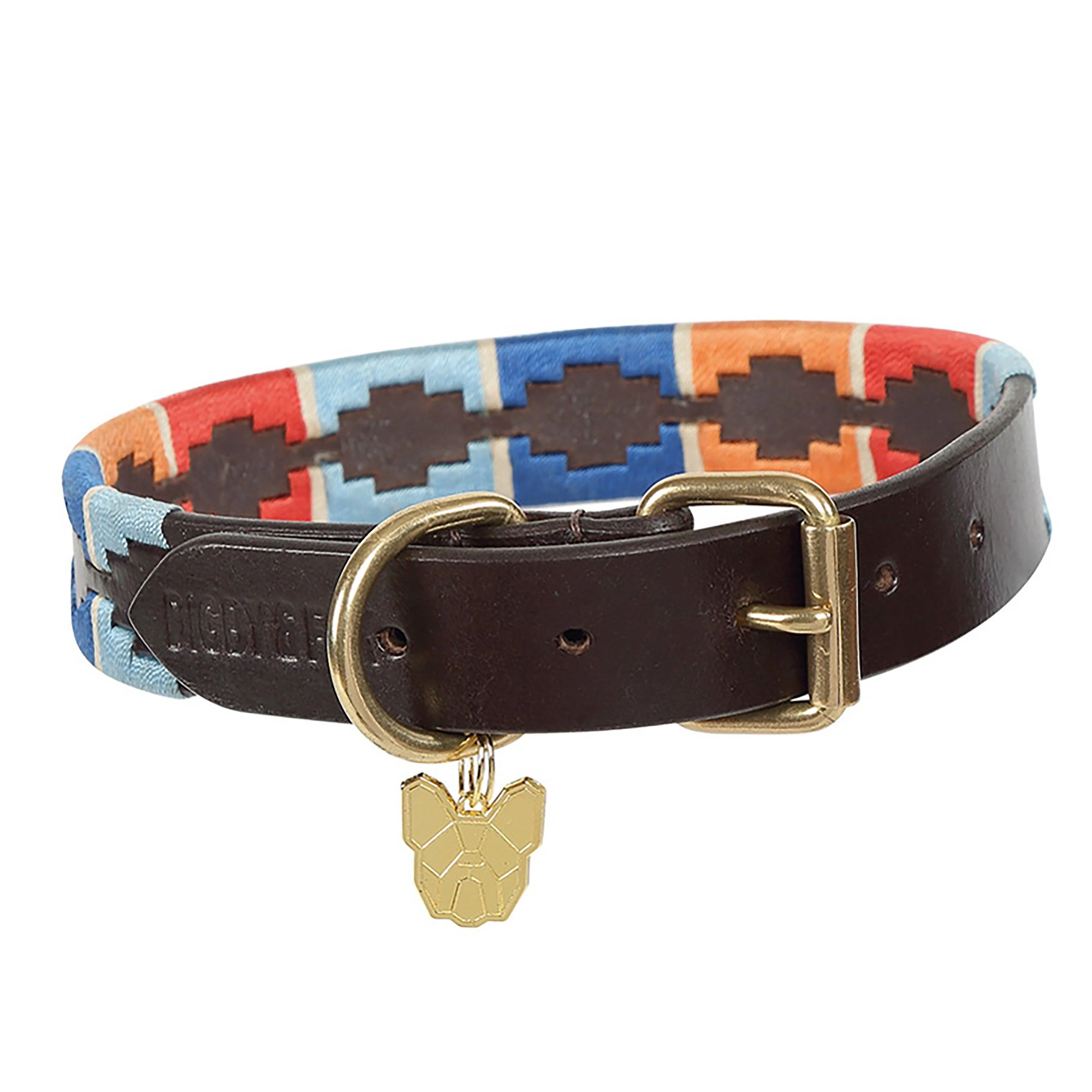 Drover Polo Dog Collar Turquoise/Red/Orange - Image 4