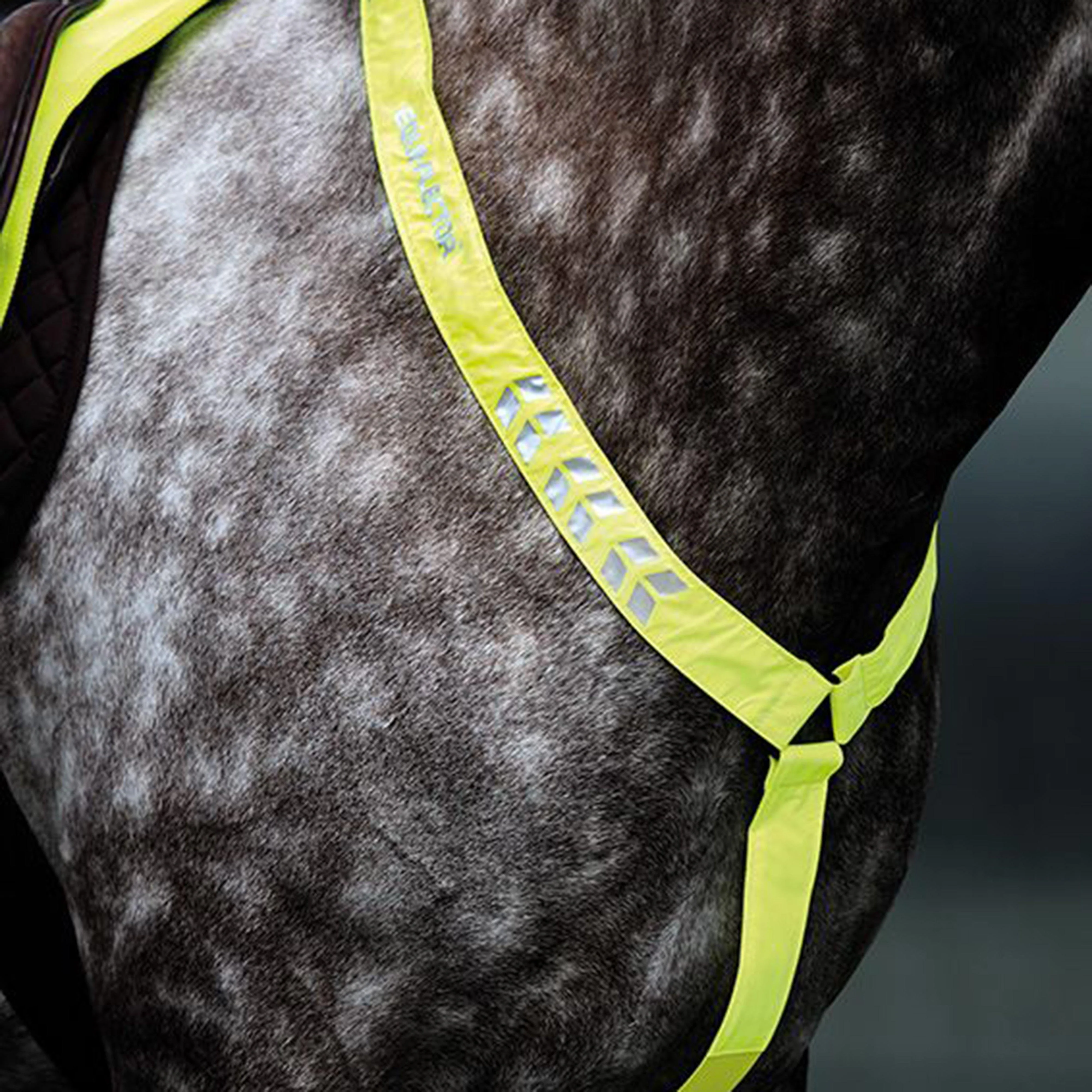 Breastplate Yellow - Image 2