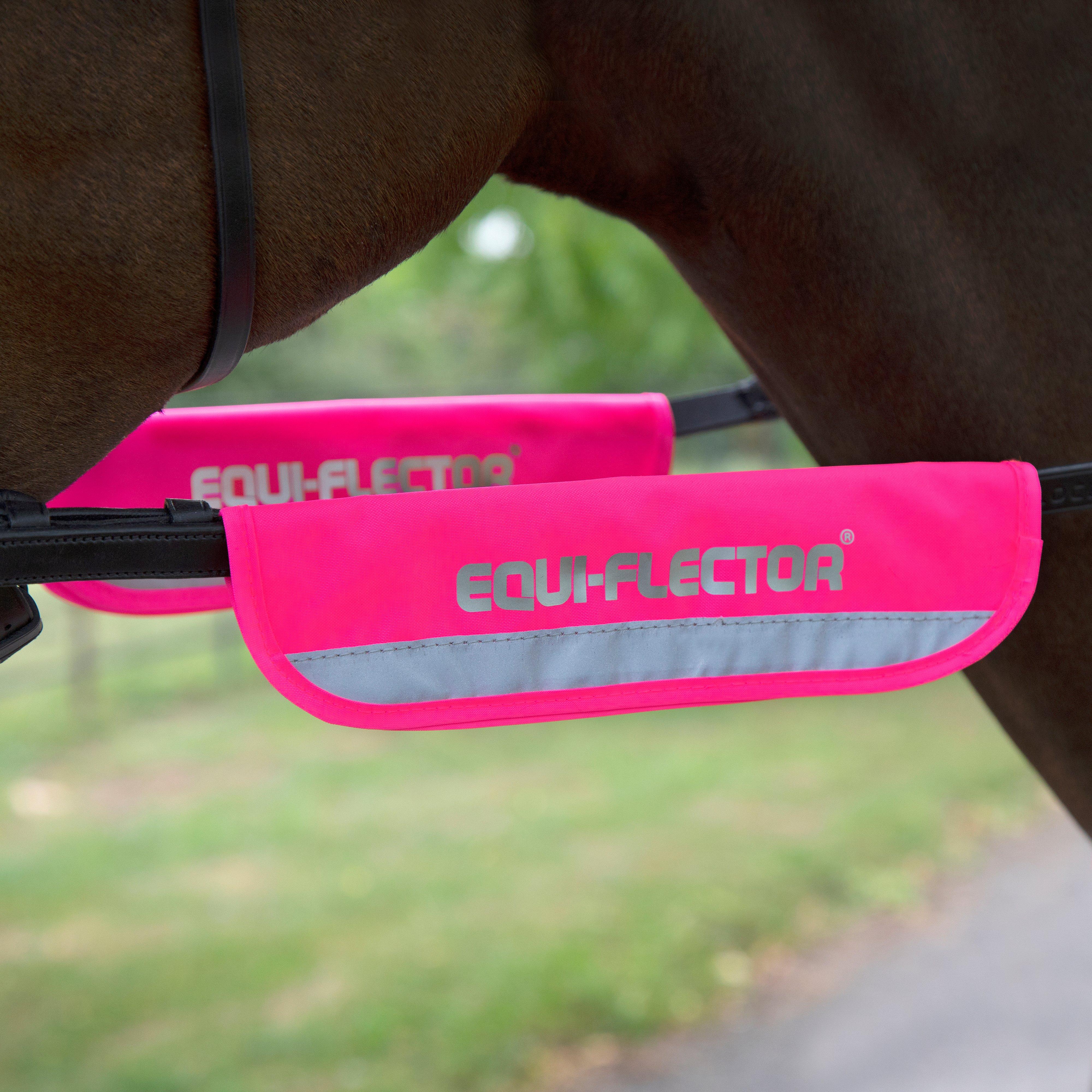 Bridle Bands Pink - Image 2