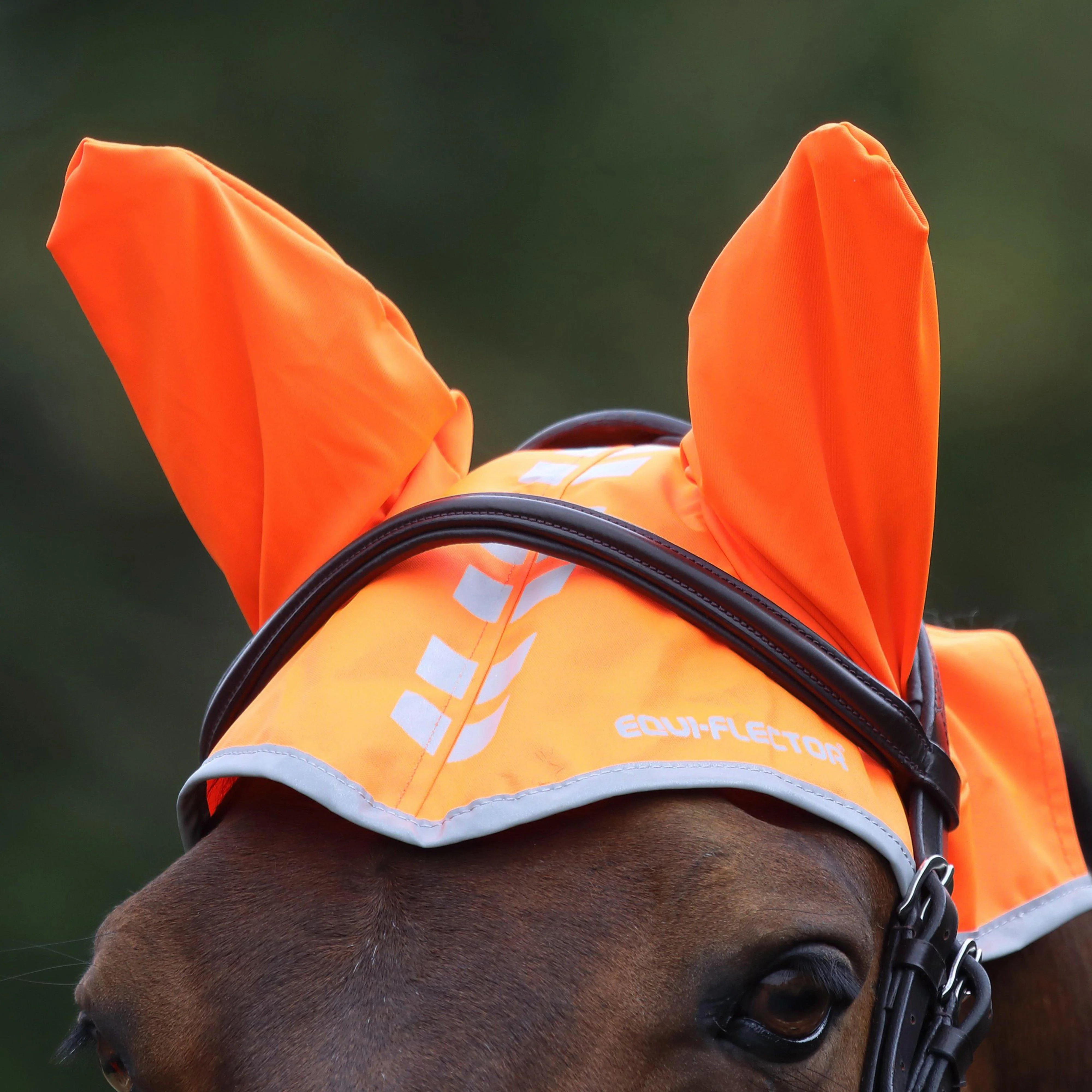 Fly Veil Orange - Image 5