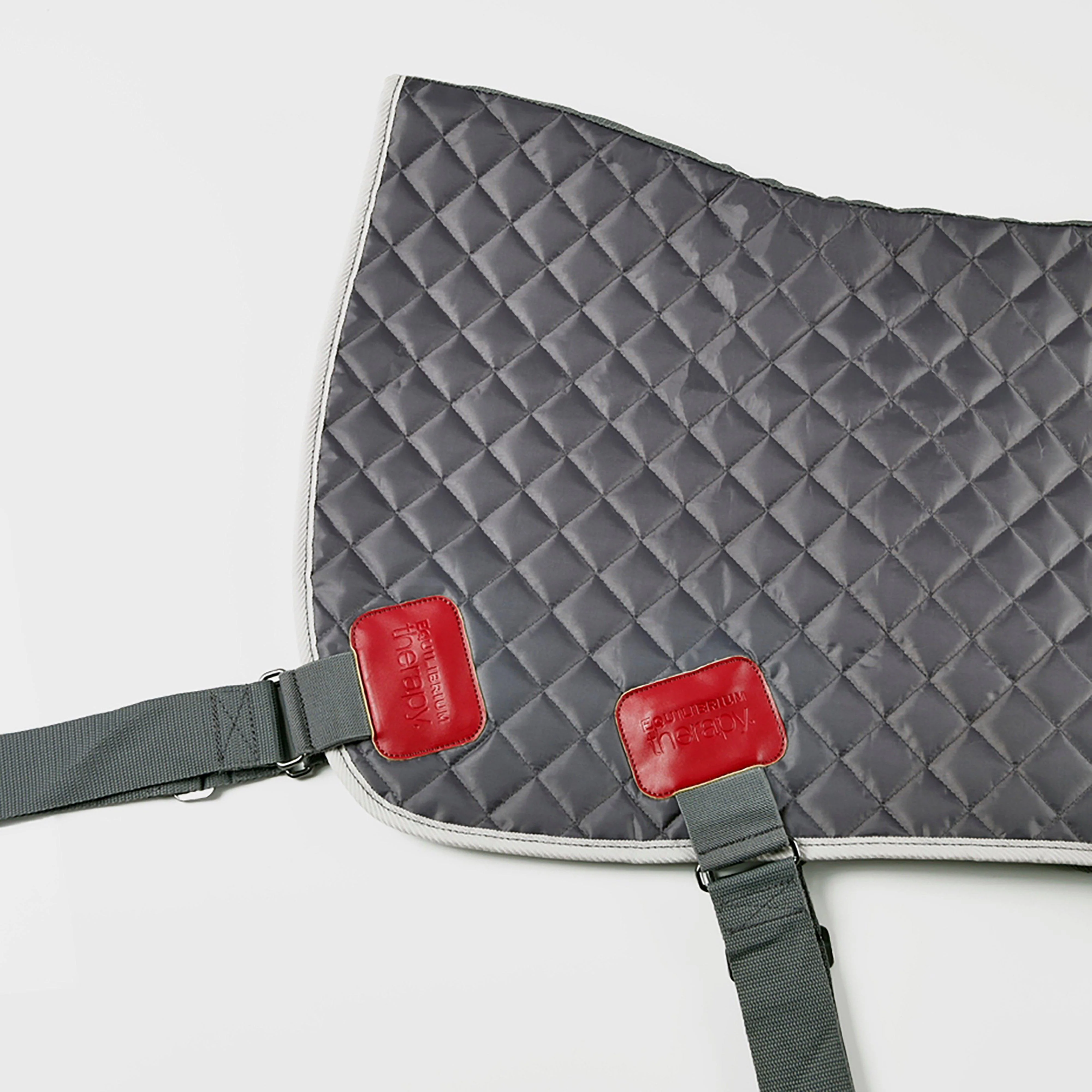 Magnetic Back & Quarters Pad - Image 2