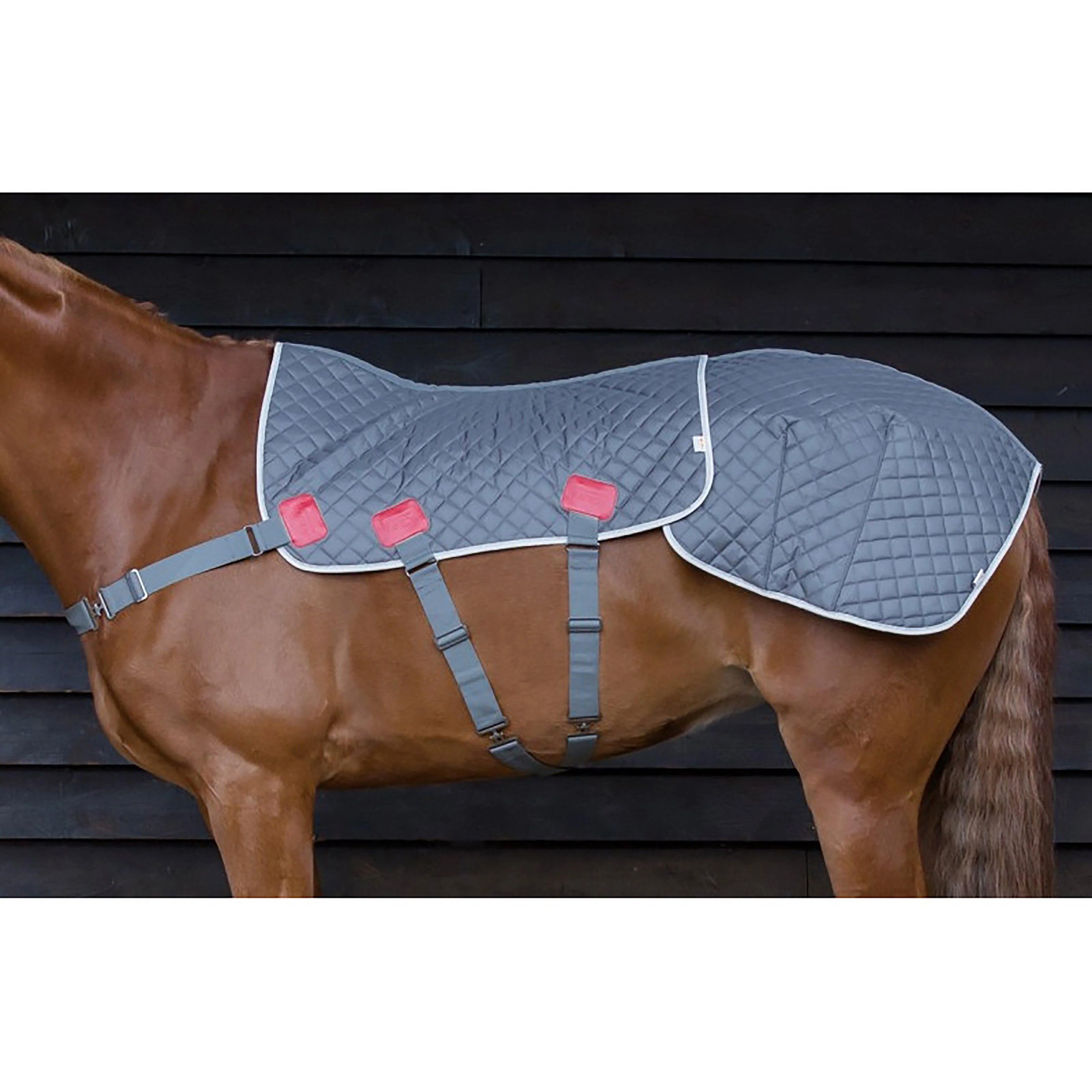 Magnetic Back & Quarters Pad - Image 7