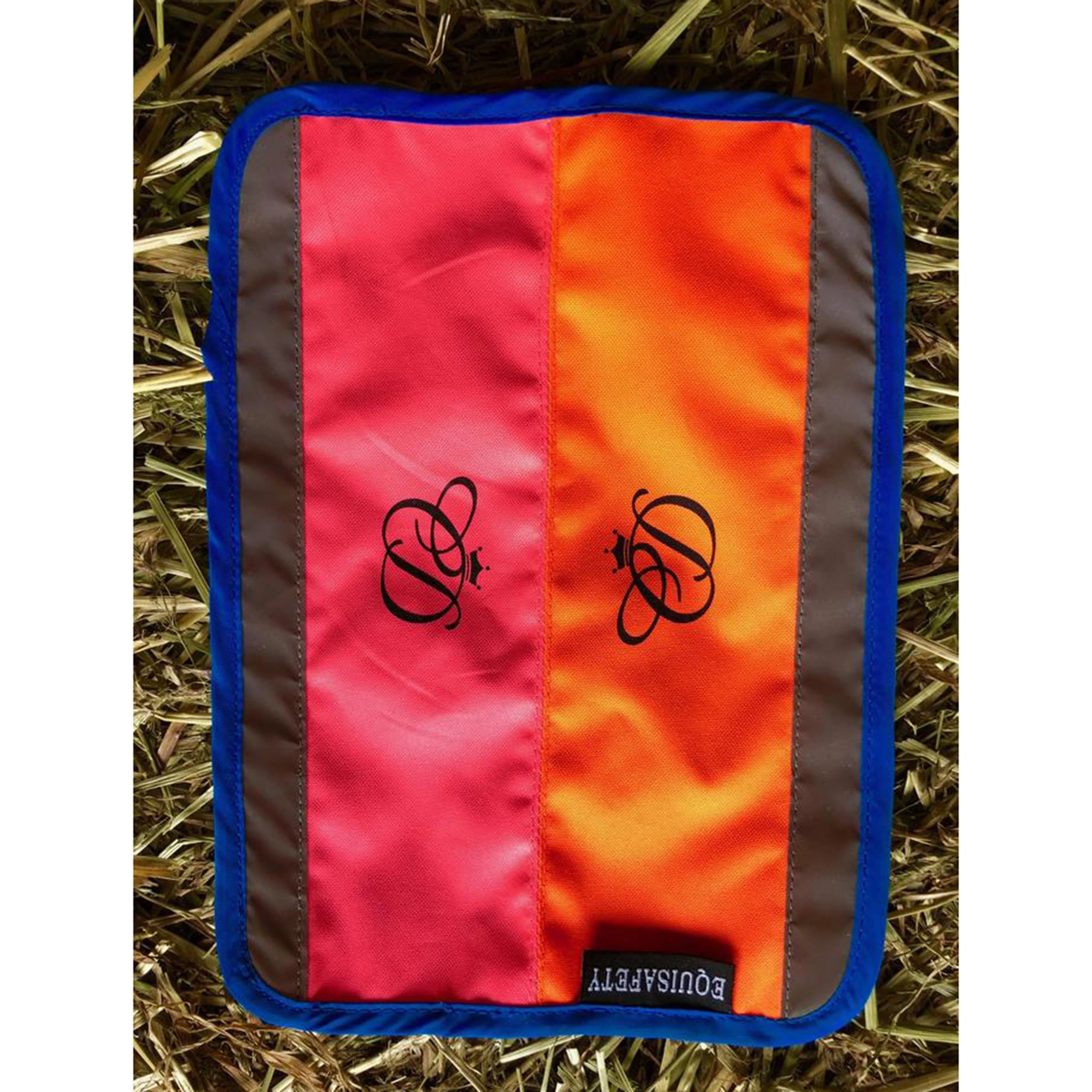 Charlotte Dujardin Multi-Coloured Nose Band Pink/Orange - Image 9