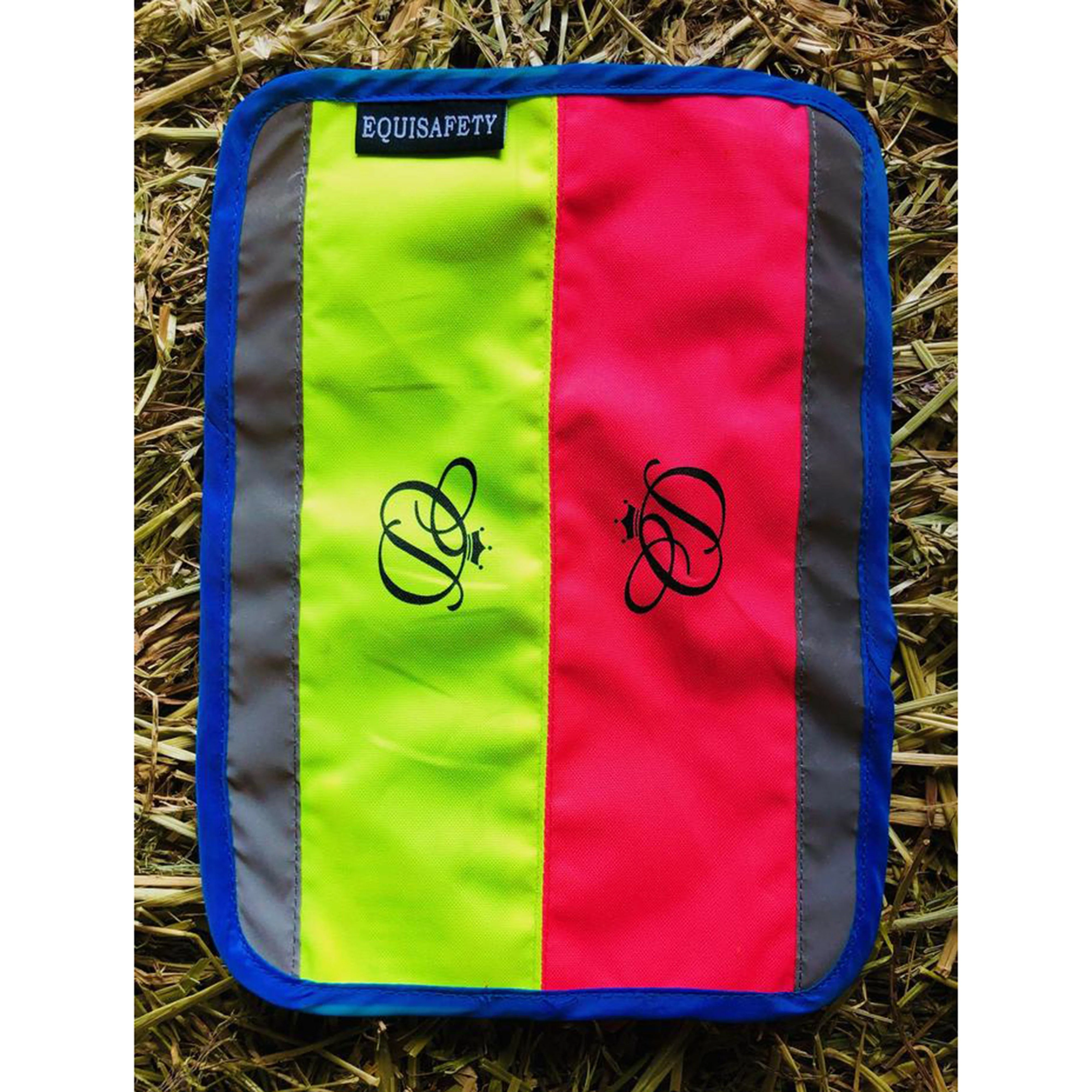 Charlotte Dujardin Multi-Coloured Nose Band Pink/Yellow - Image 8