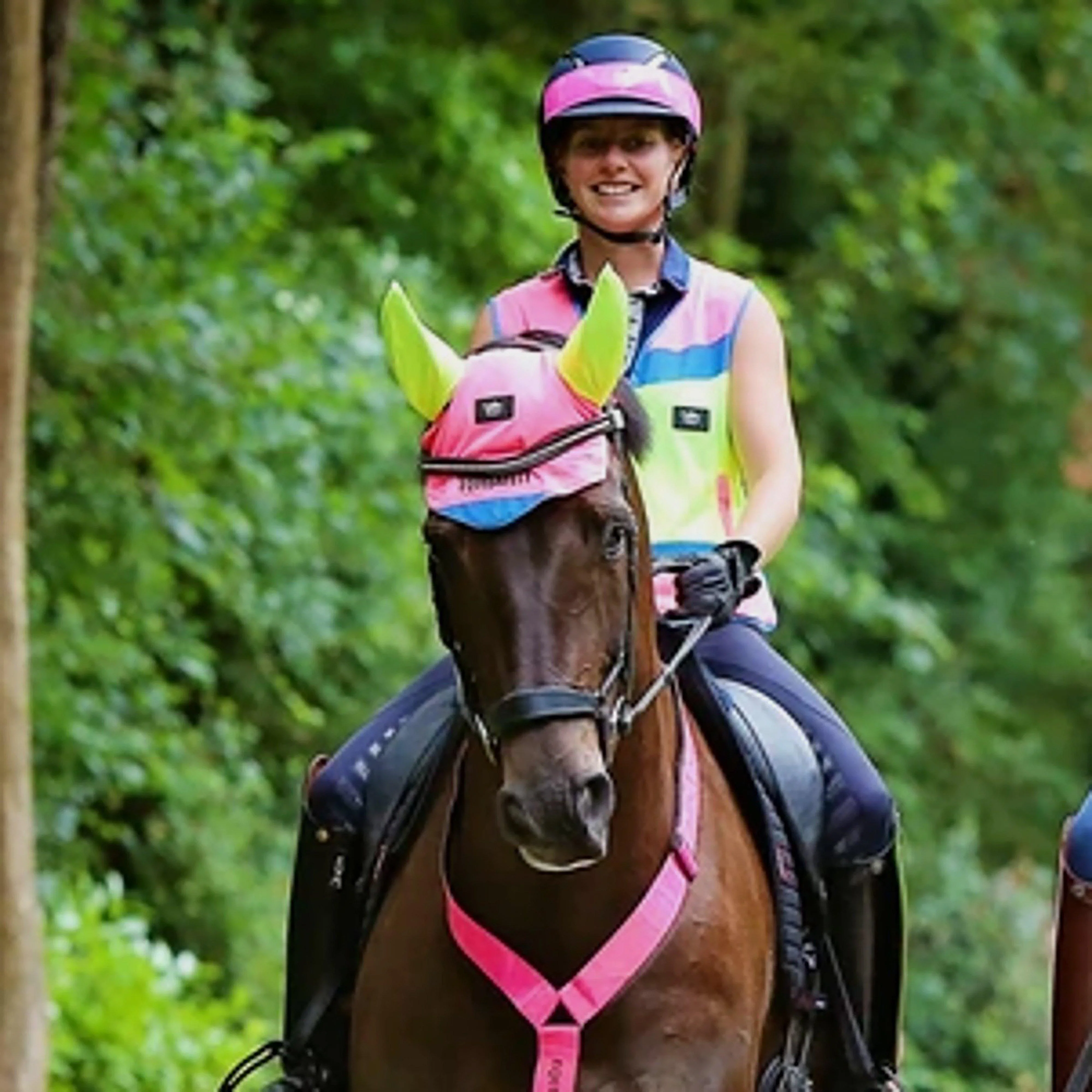 Charlotte Dujardin Reflective Multi-Coloured Mesh Horse Ears Pink/Yellow - Image 2