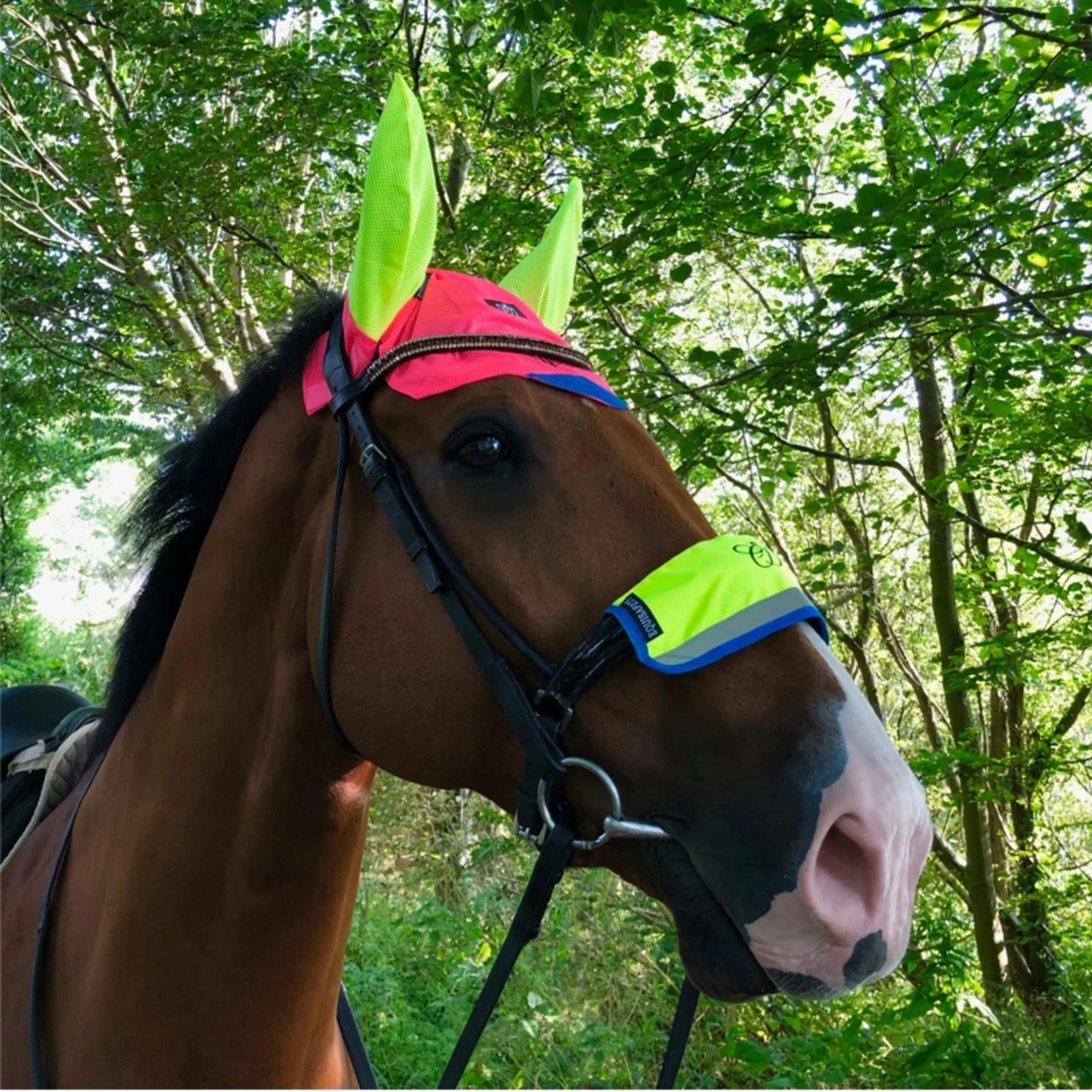 Charlotte Dujardin Reflective Multi-Coloured Mesh Horse Ears Pink/Yellow - Image 4