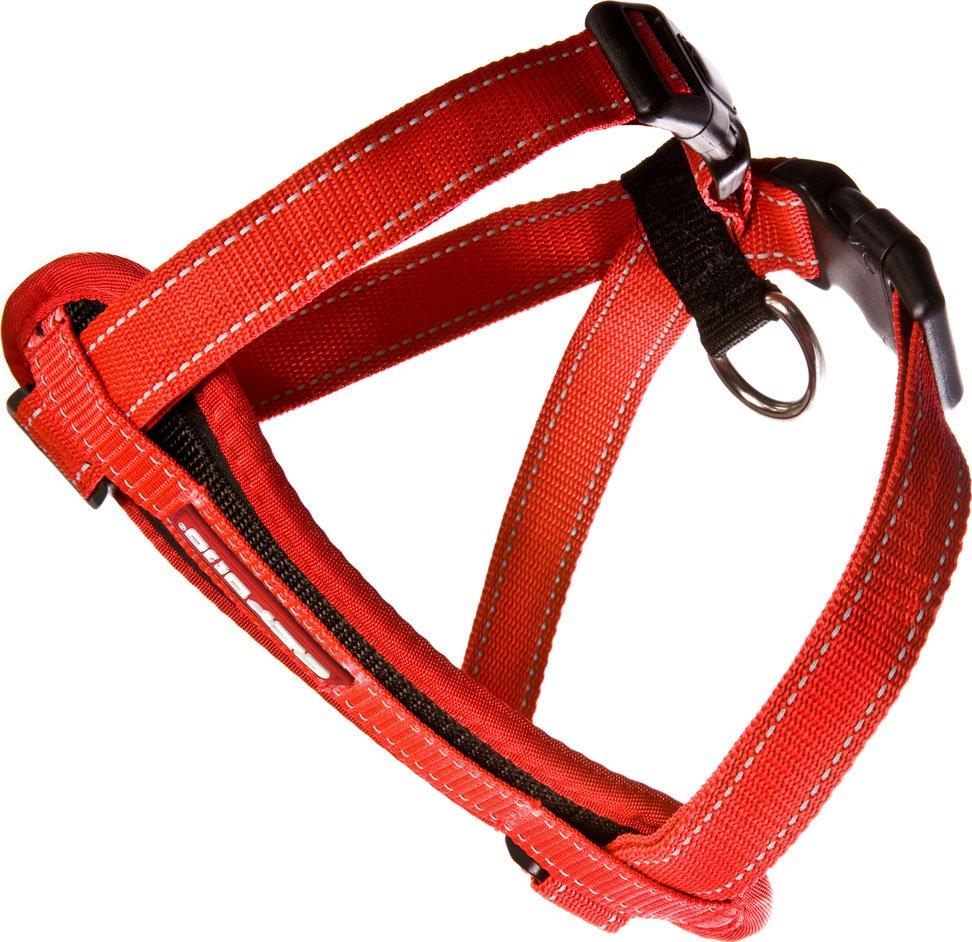 Chest Plate Harness Red Medium - Image 2