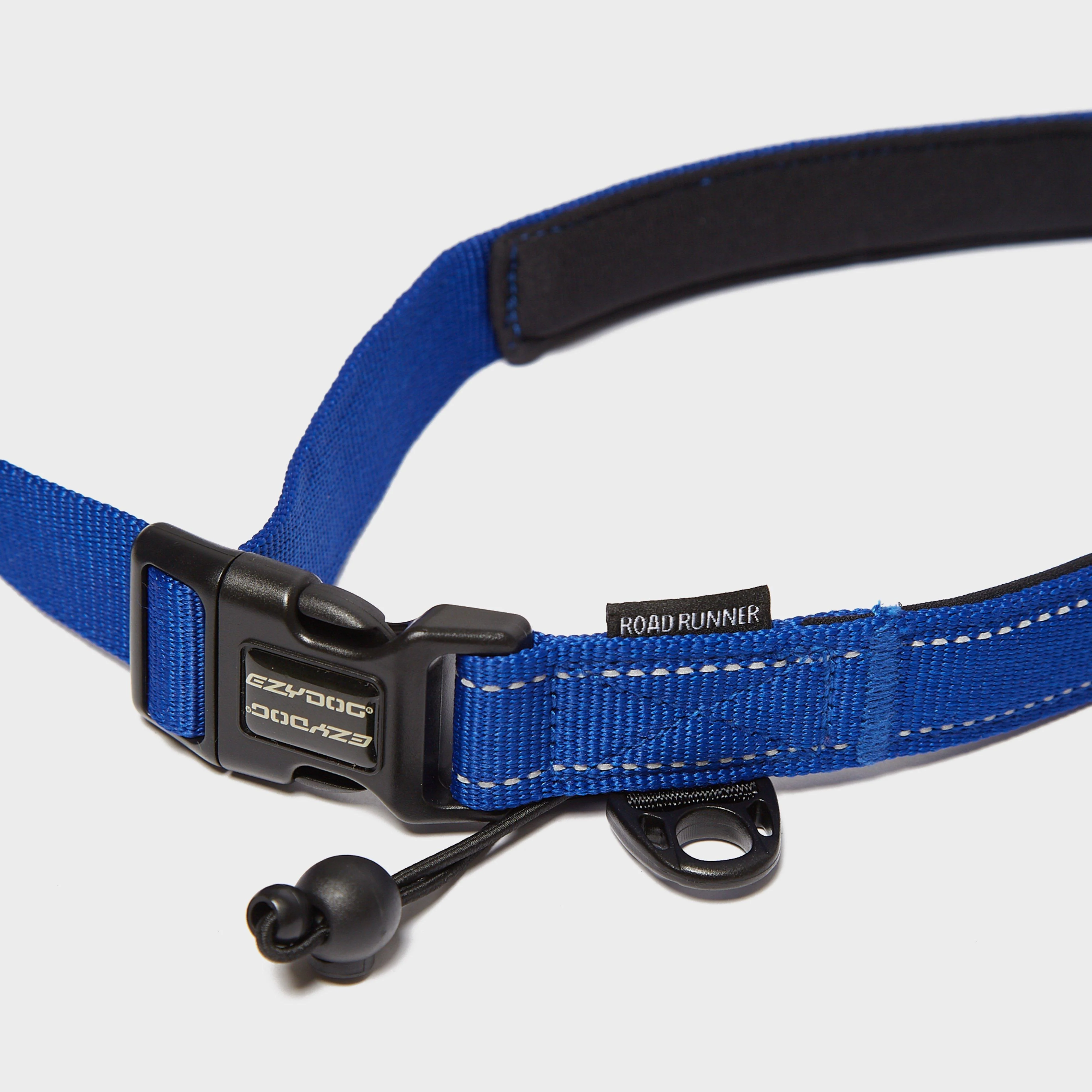 Road Runner Dog Lead Blue - Image 2
