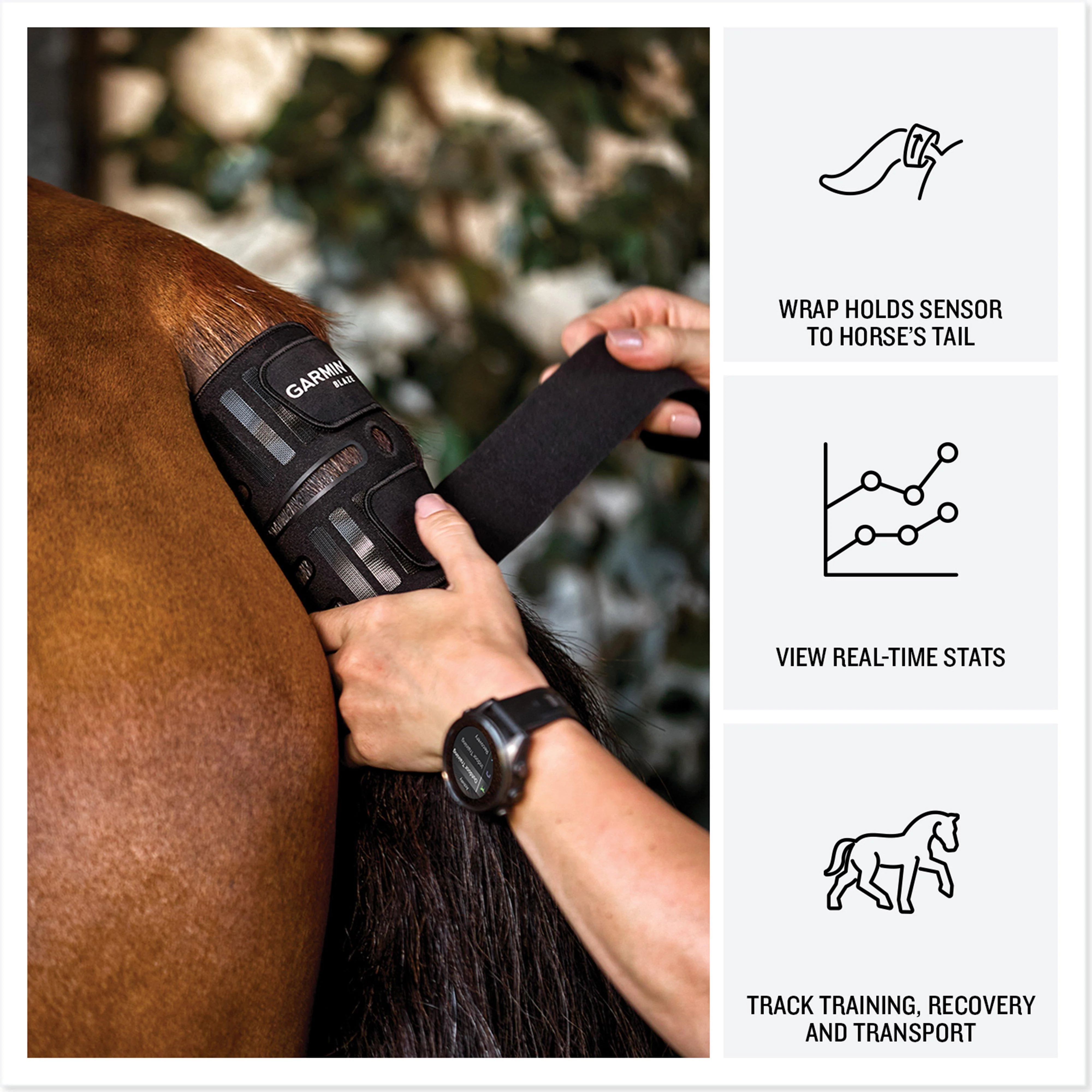 Blaze™ Equine Wellness System - Image 3