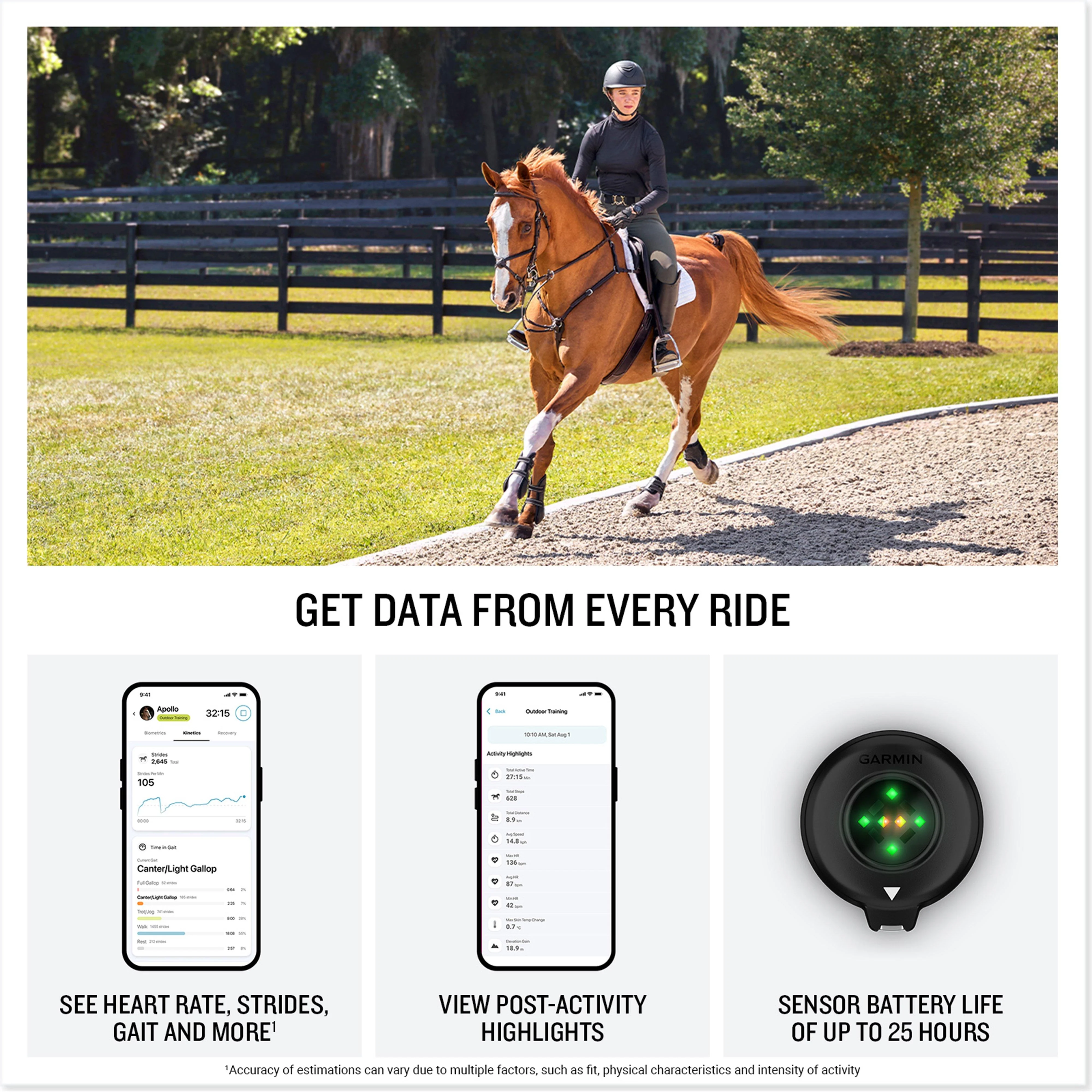 Blaze™ Equine Wellness System - Image 4