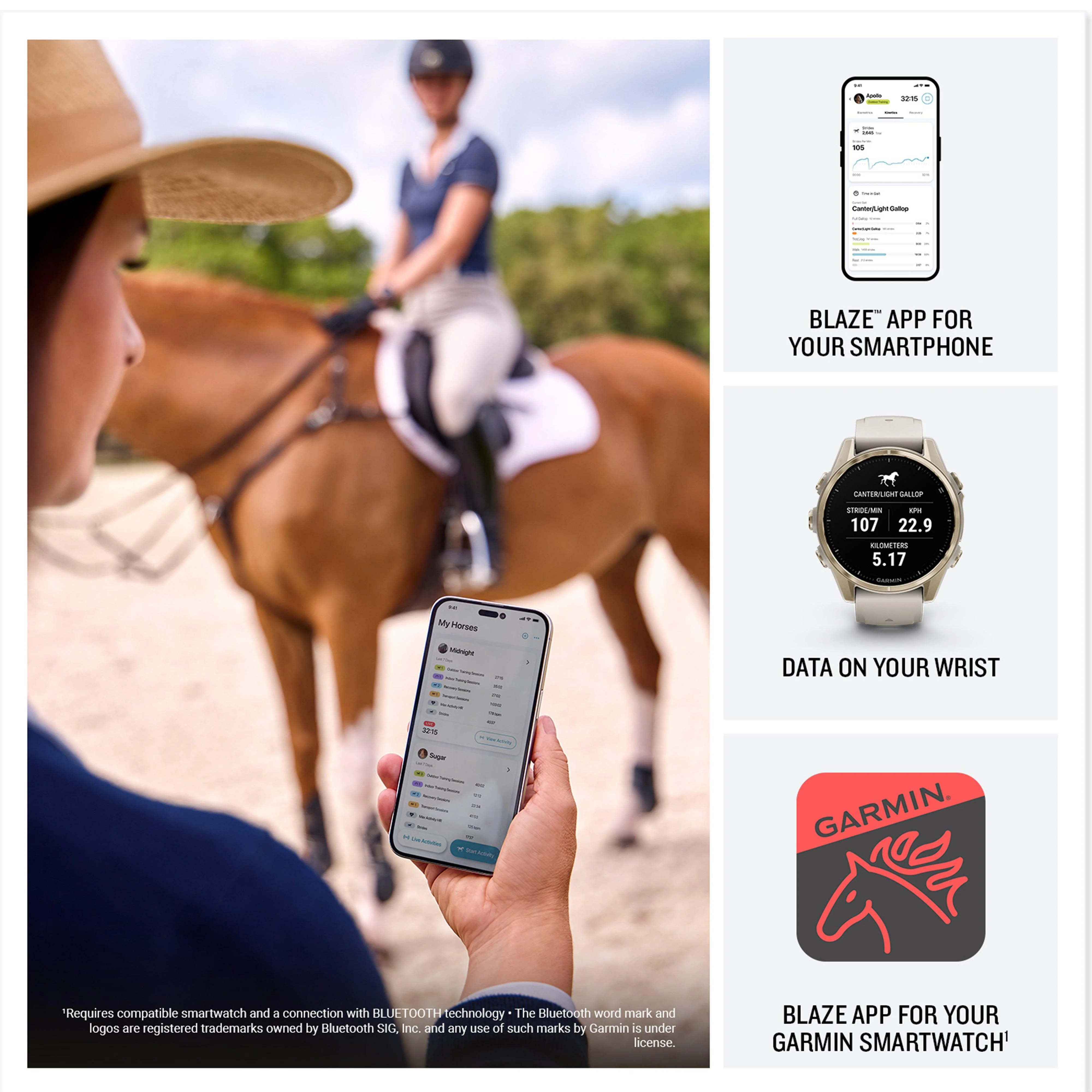 Blaze™ Equine Wellness System - Image 5