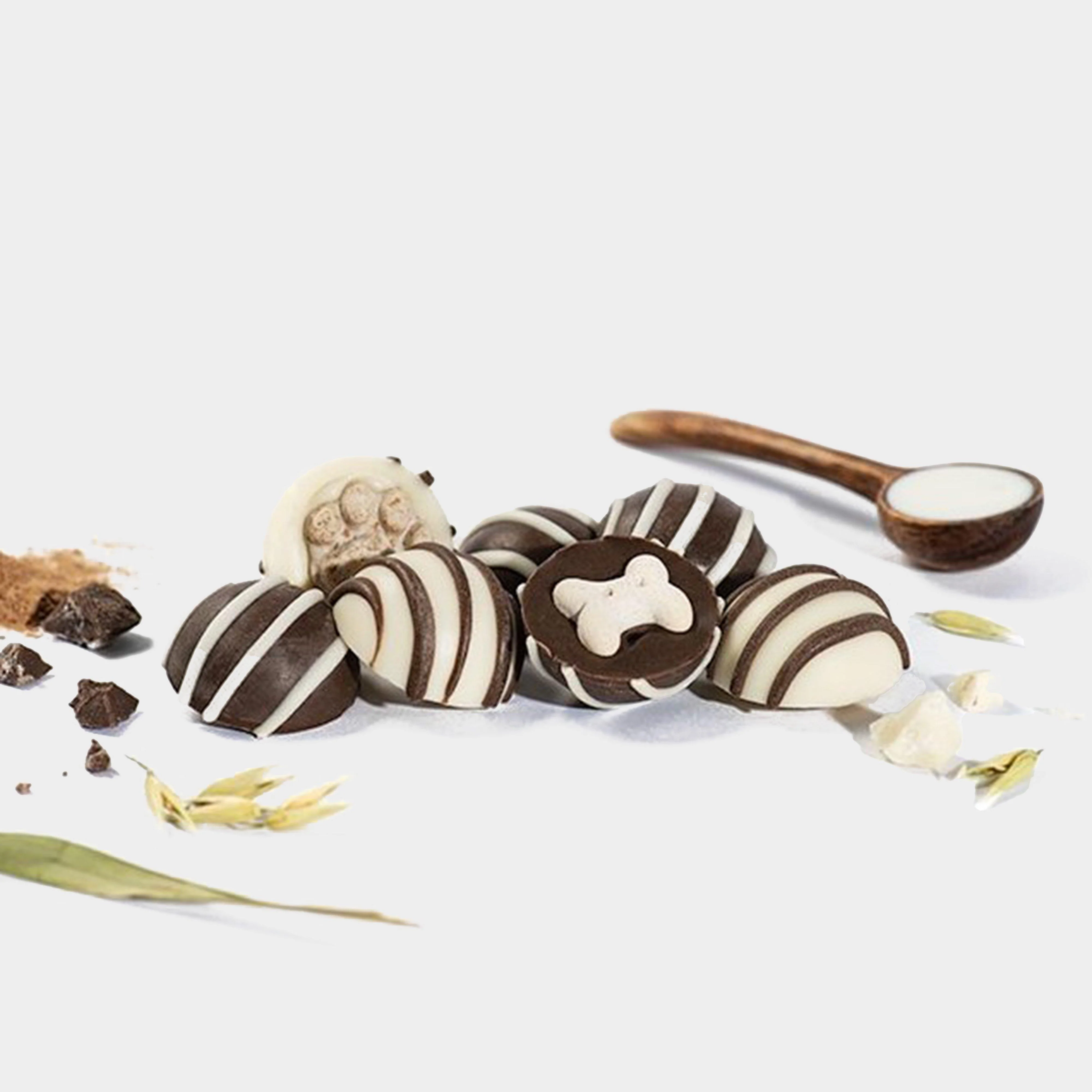 Ruffingtons Terrier Truffles - Image 3