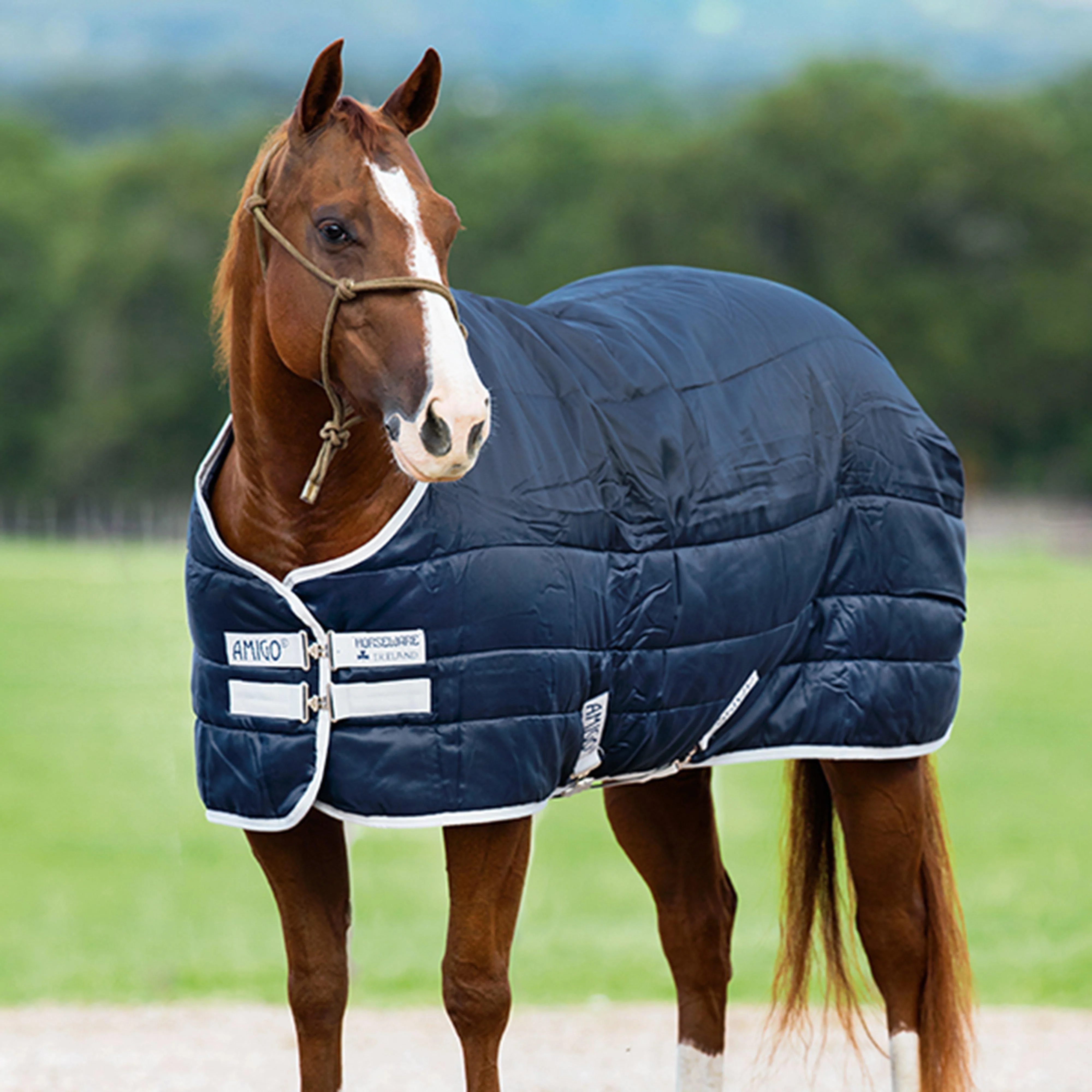 Amigo Insulator 200g Medium Weight Standard Neck Stable Rug Navy/Silver - Image 3