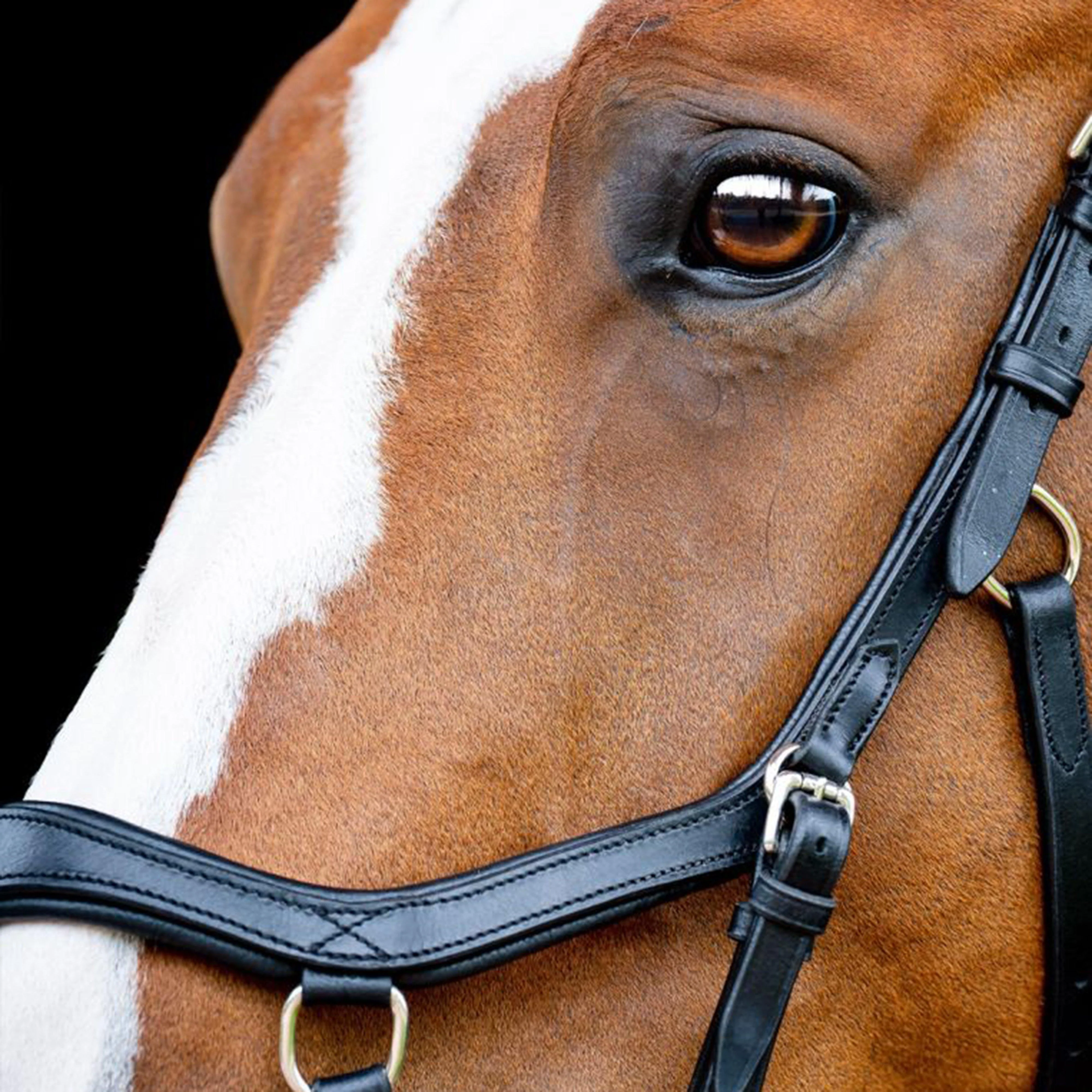 Micklem® 2 Competition Bridle Black - Image 2