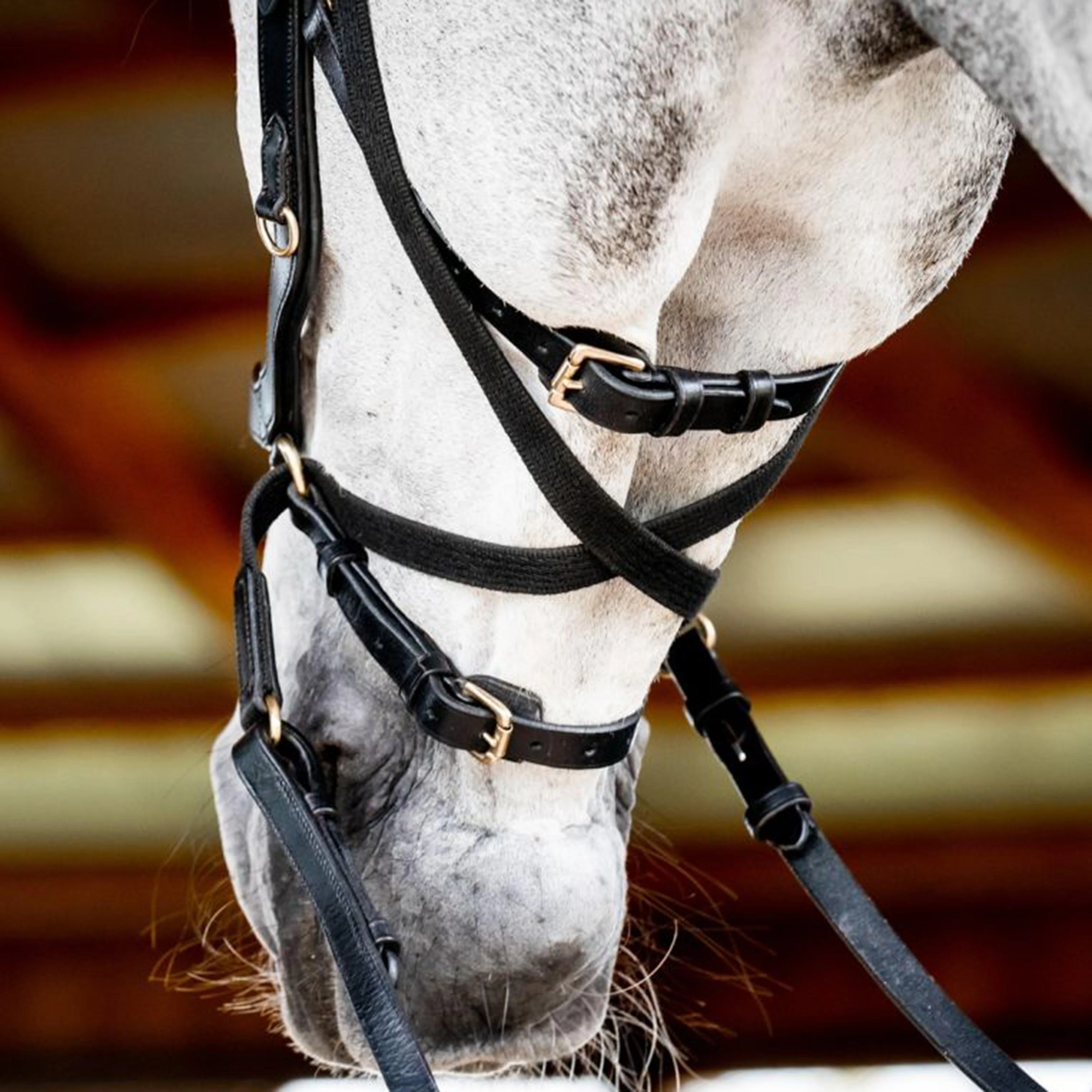 Micklem® 2 Multi Bridle Black - Image 5