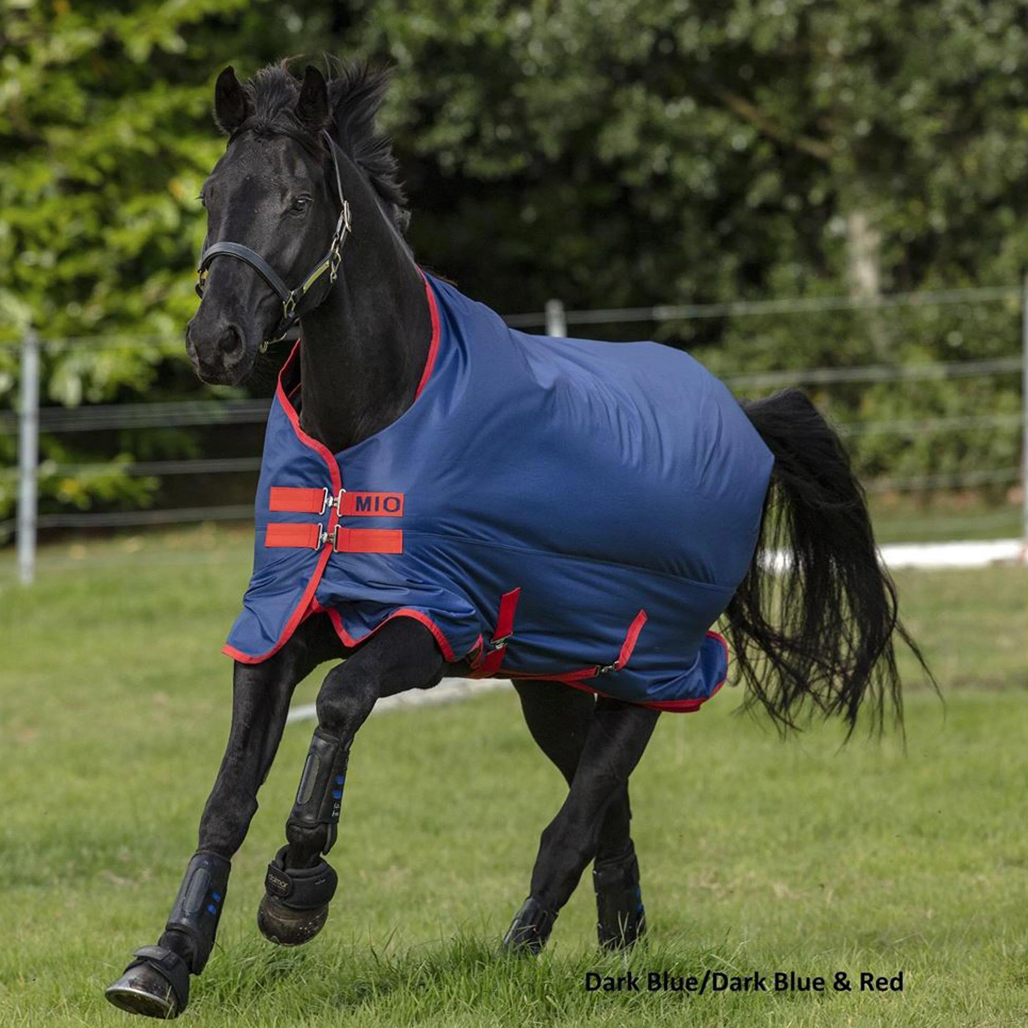 Mio Lite Standard 0g Turnout Rug Navy/Red - Image 2